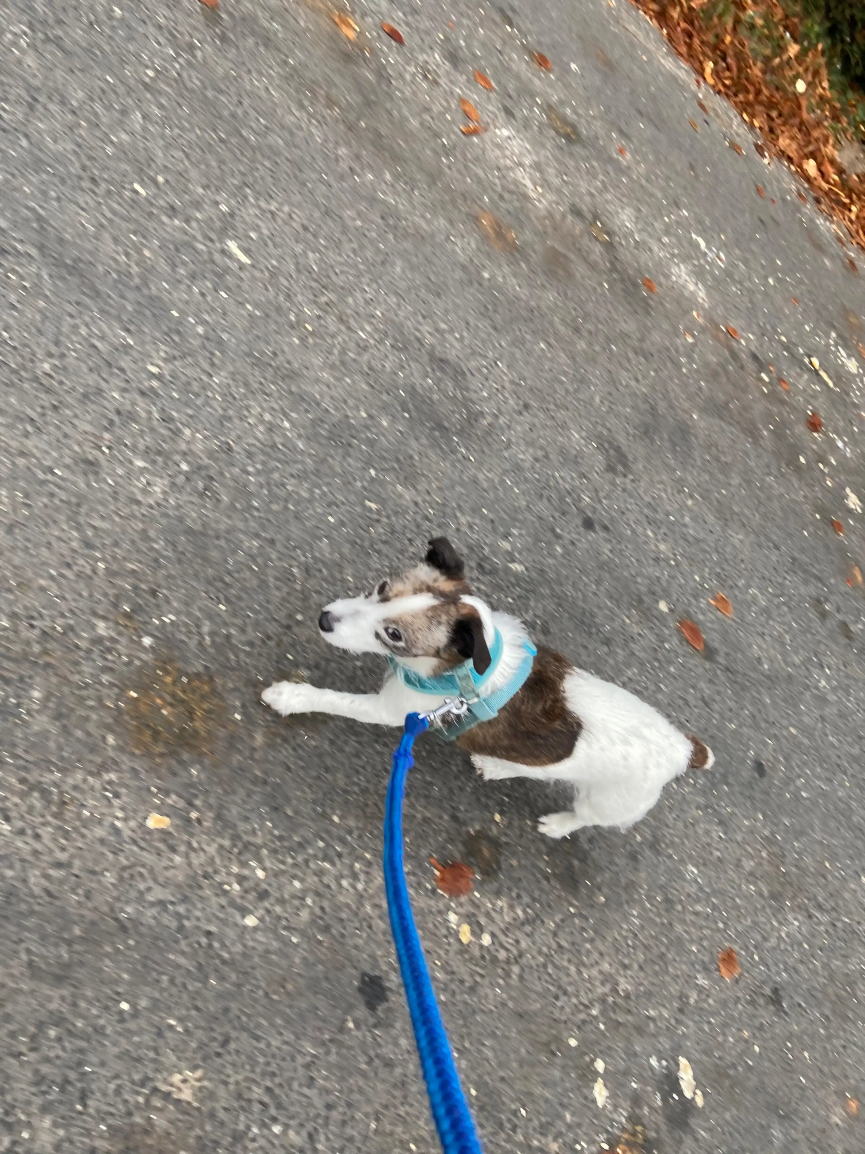image-6