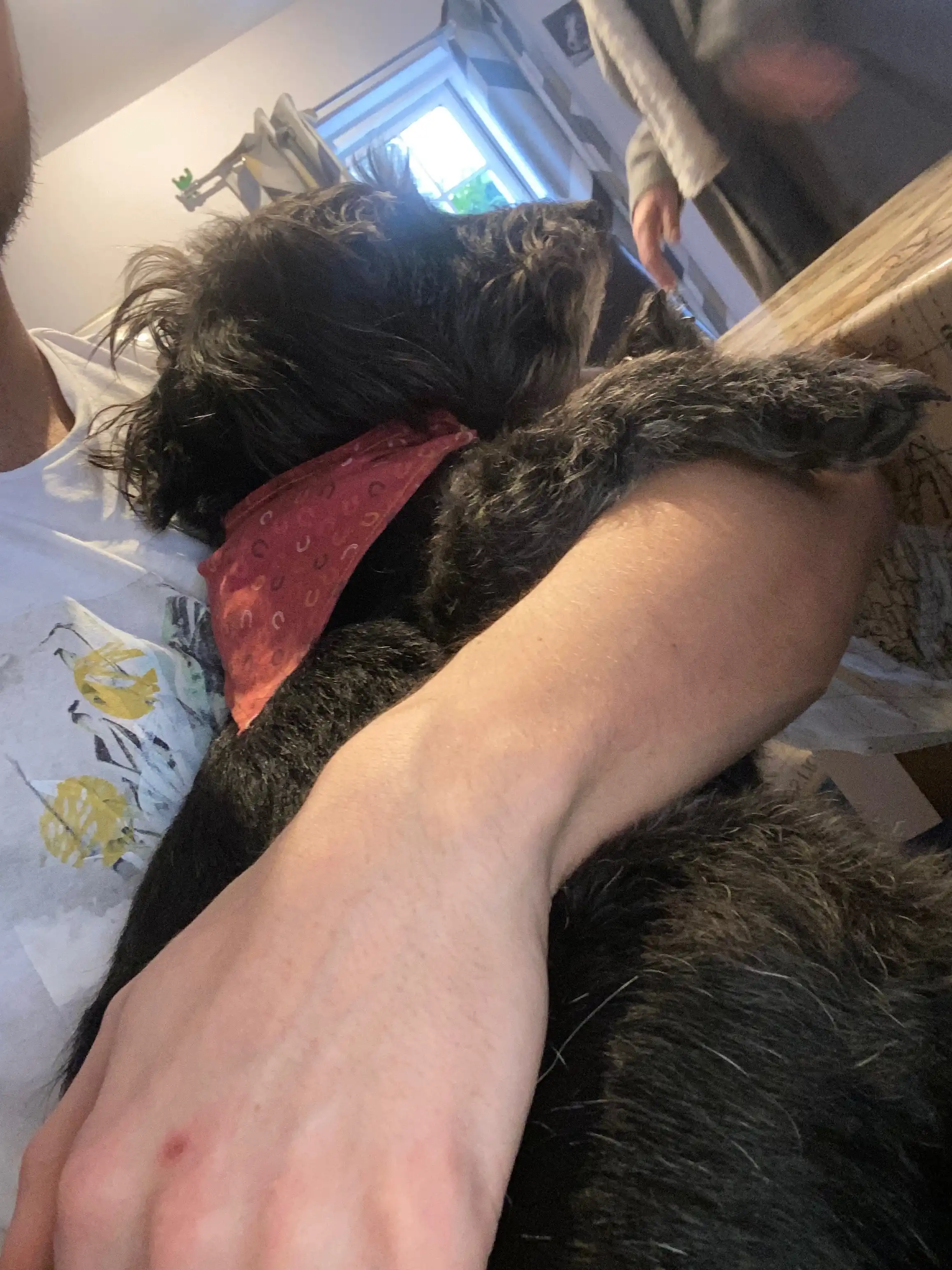 image-8