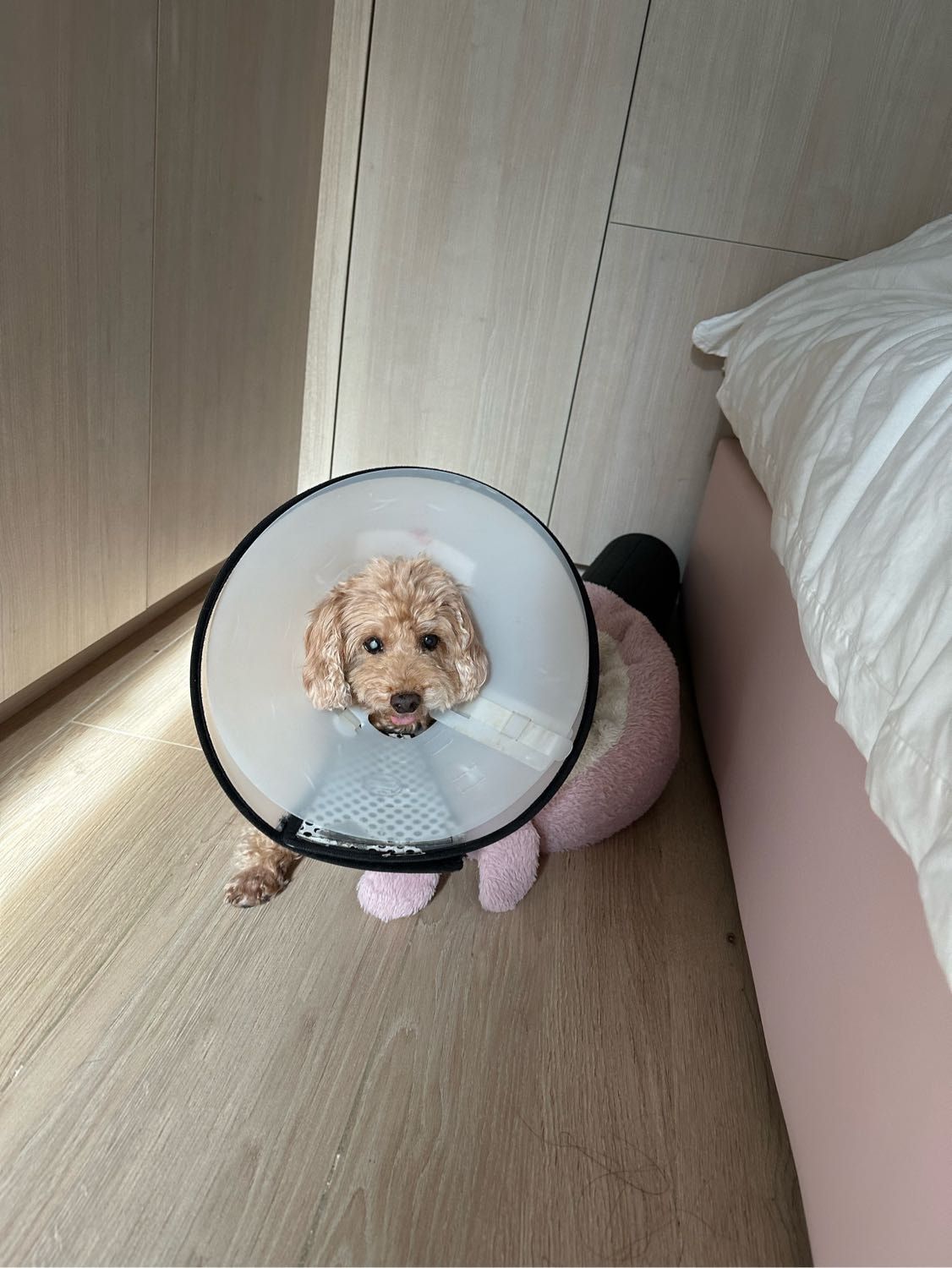 image-6