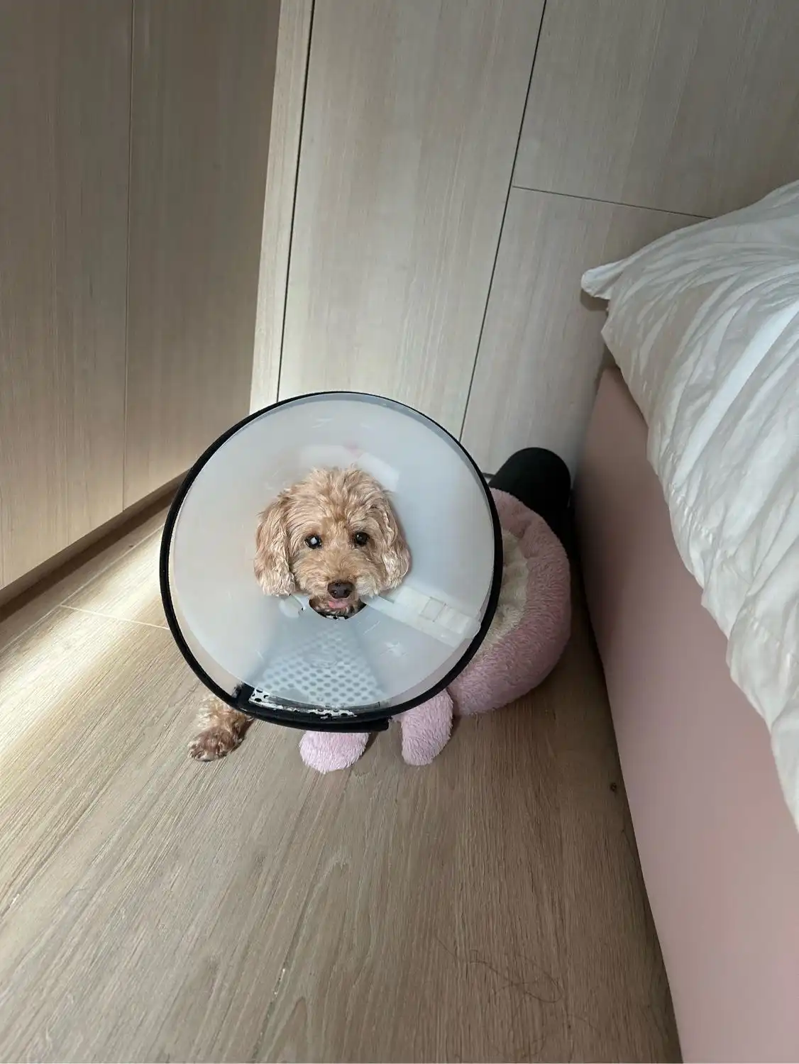 image-6