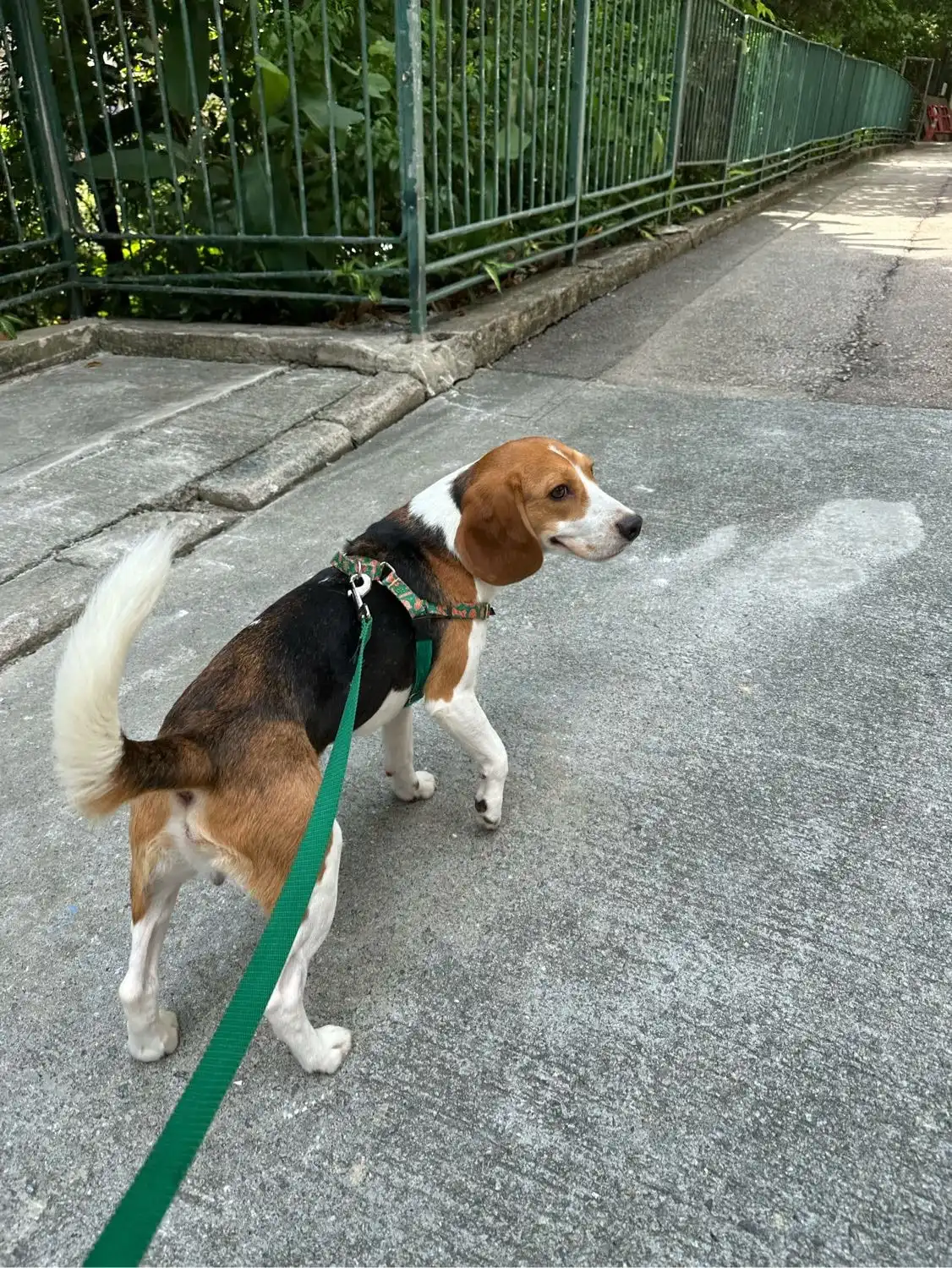 image-10