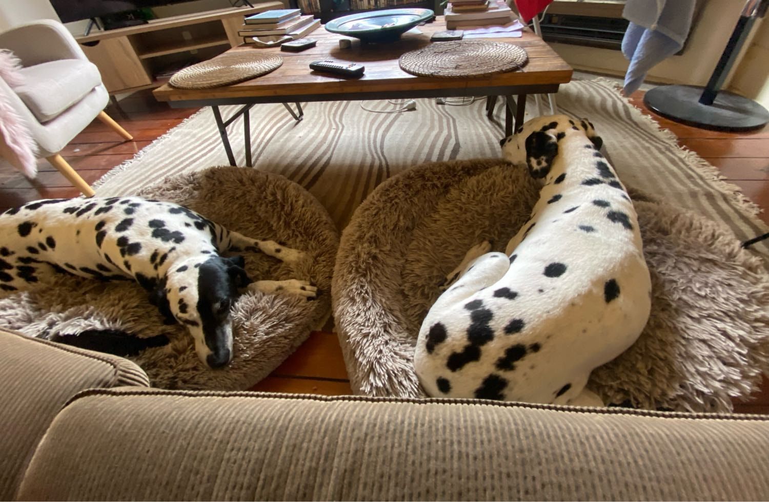image-46