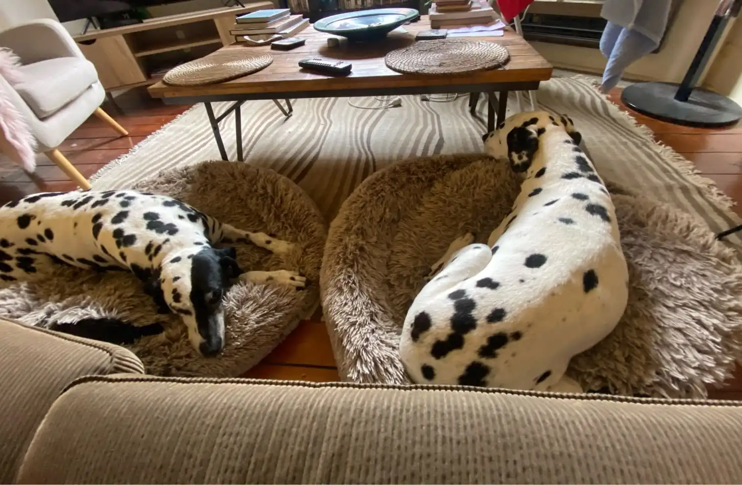 image-46