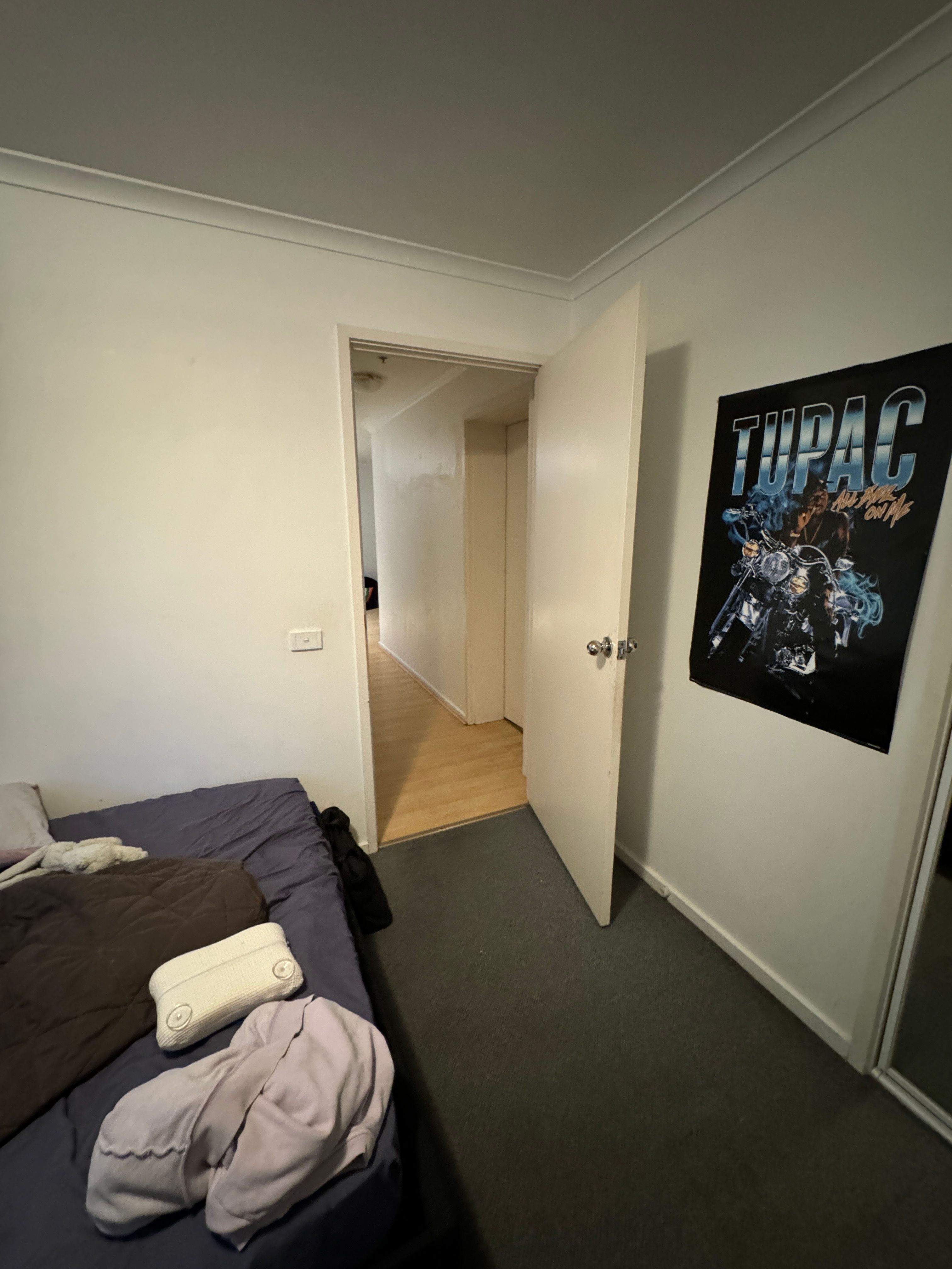 image-19