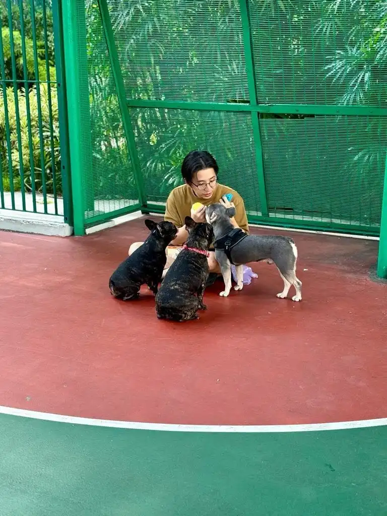 image-13