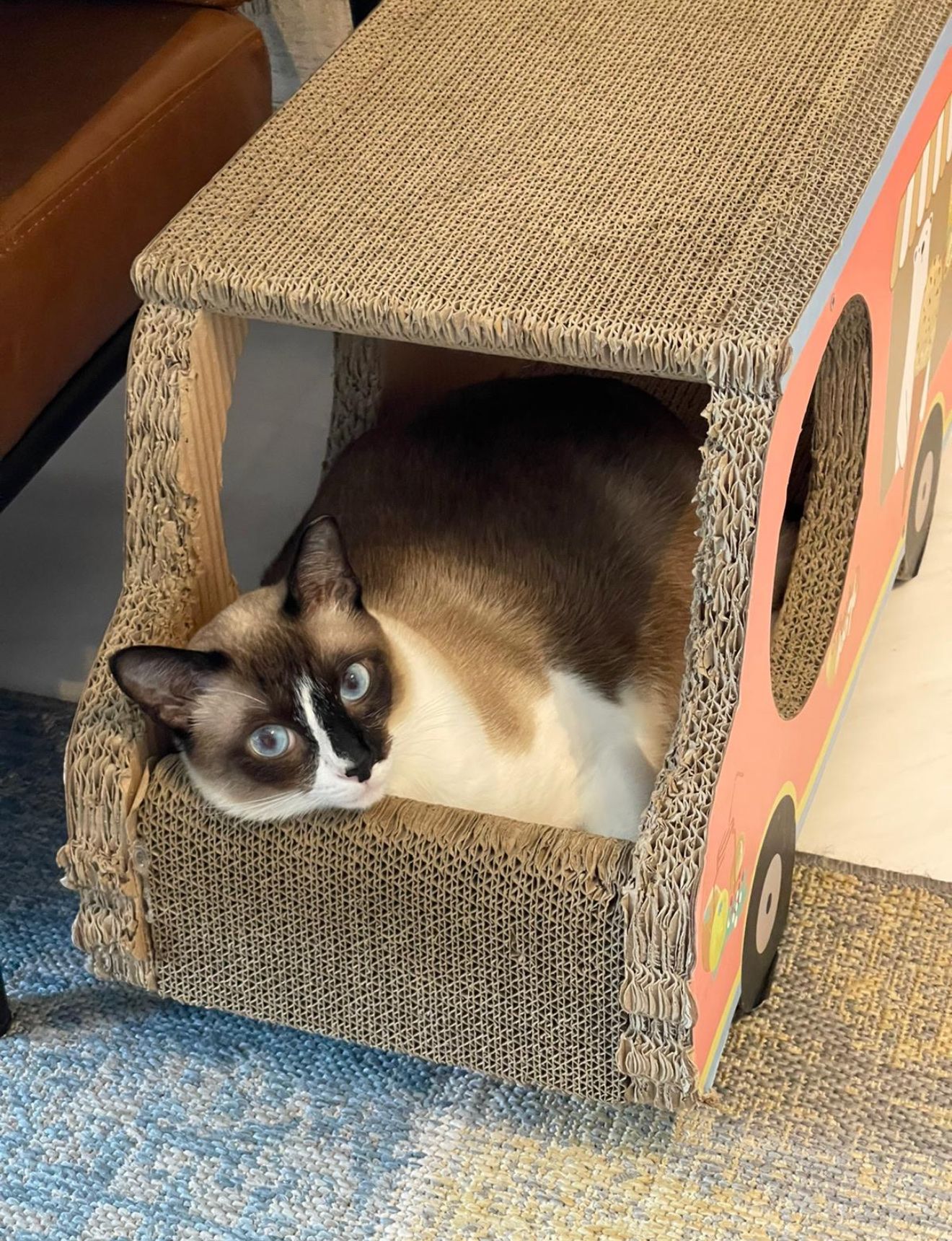 image-14