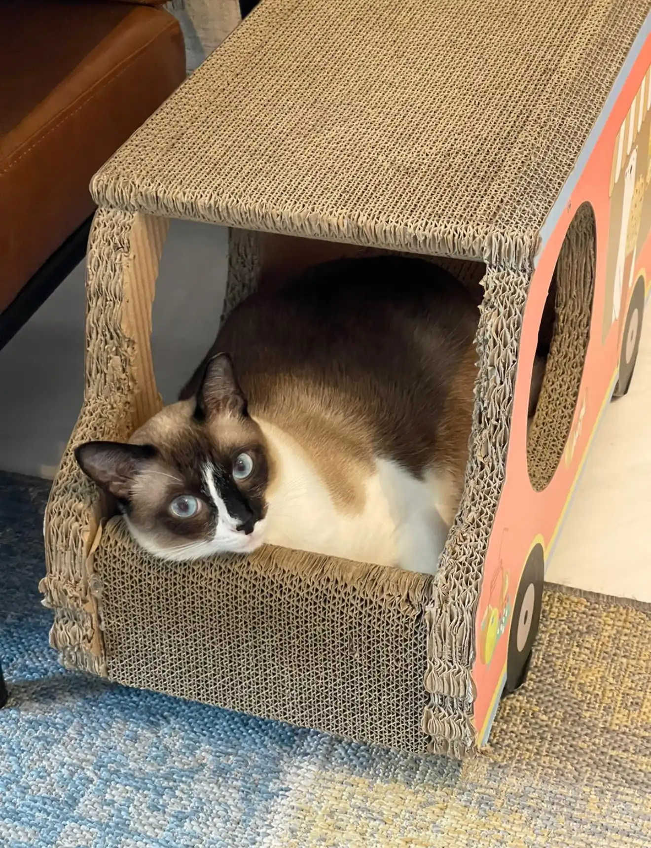 image-14