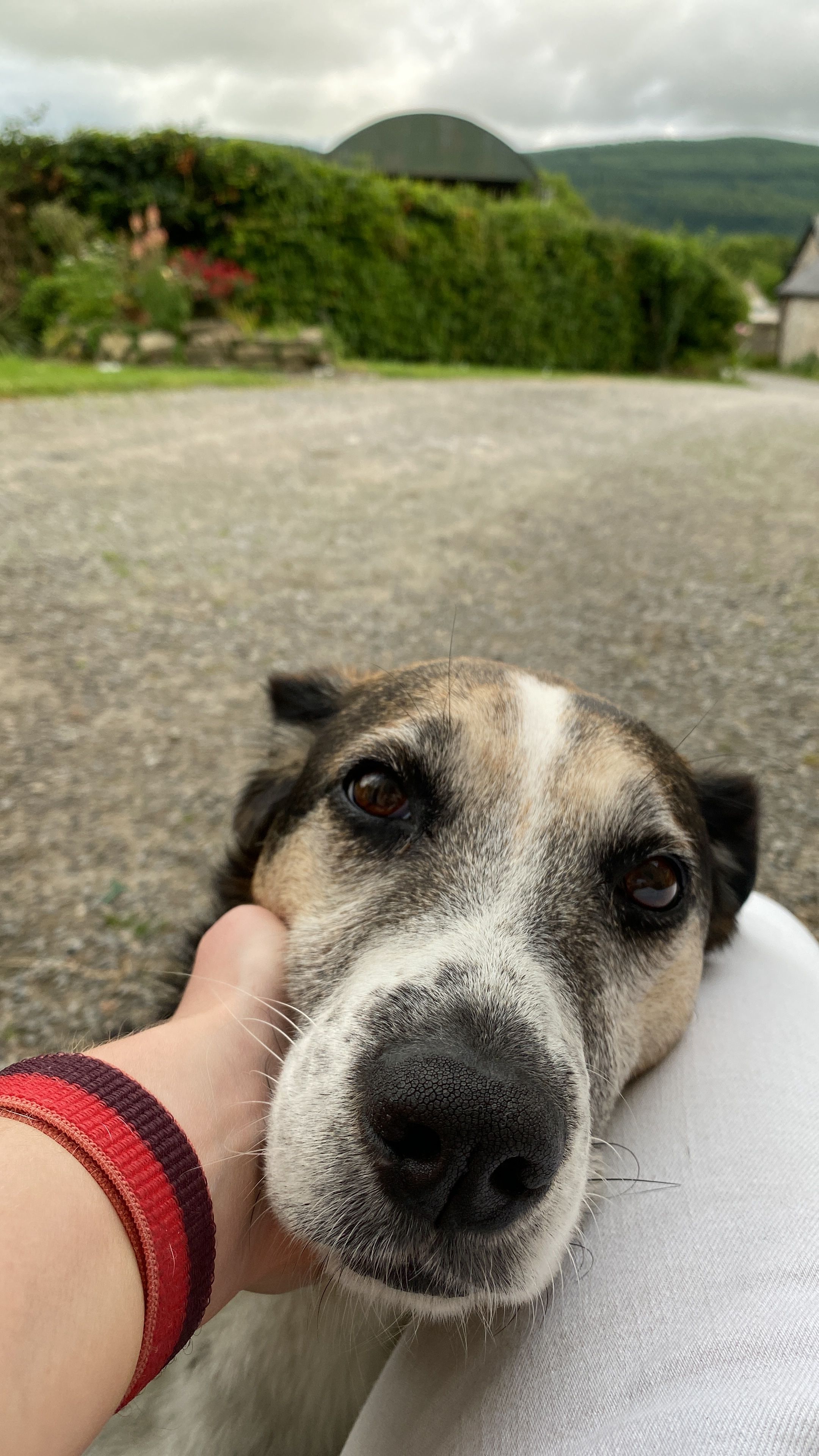 image-5