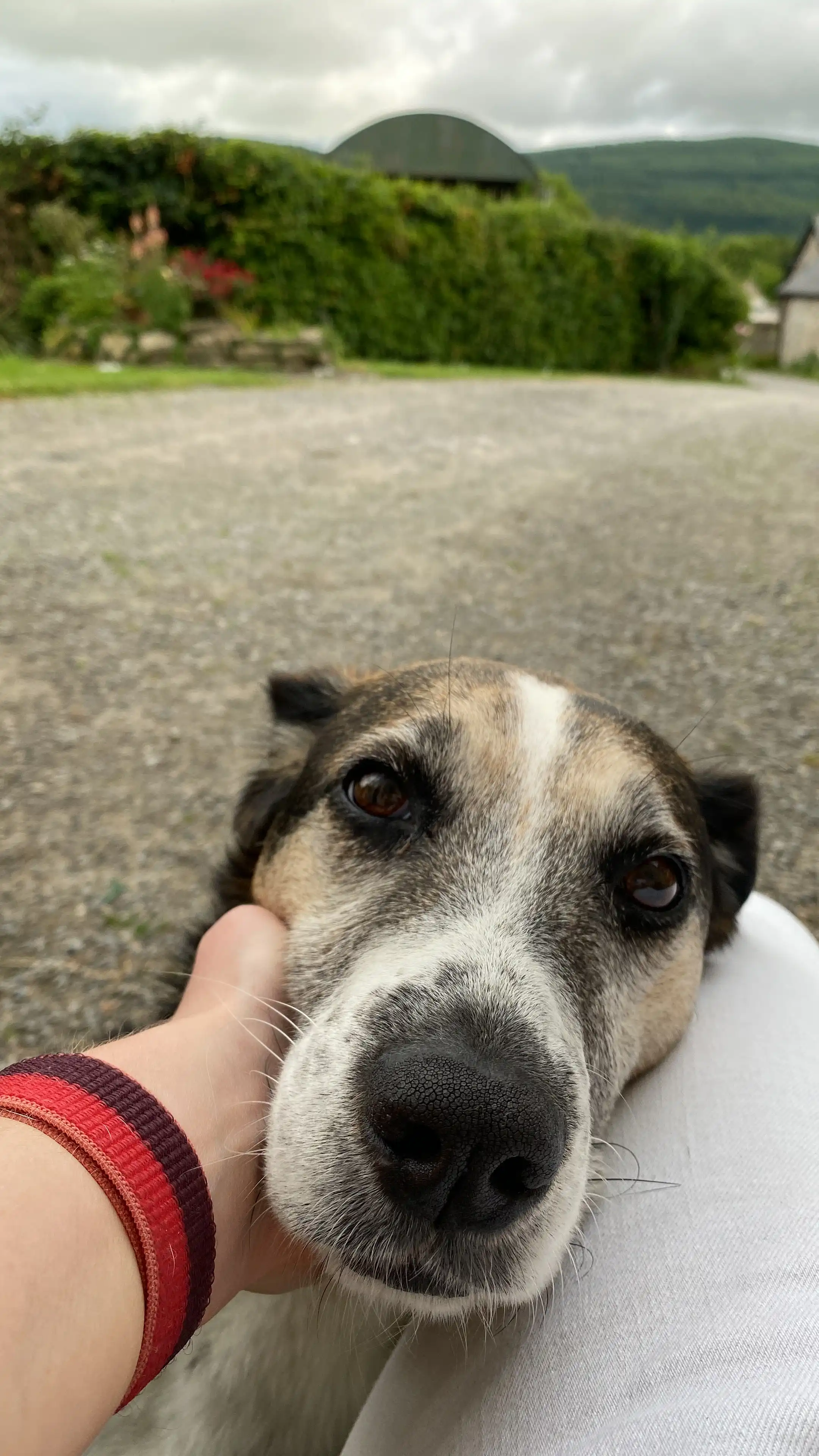 image-5