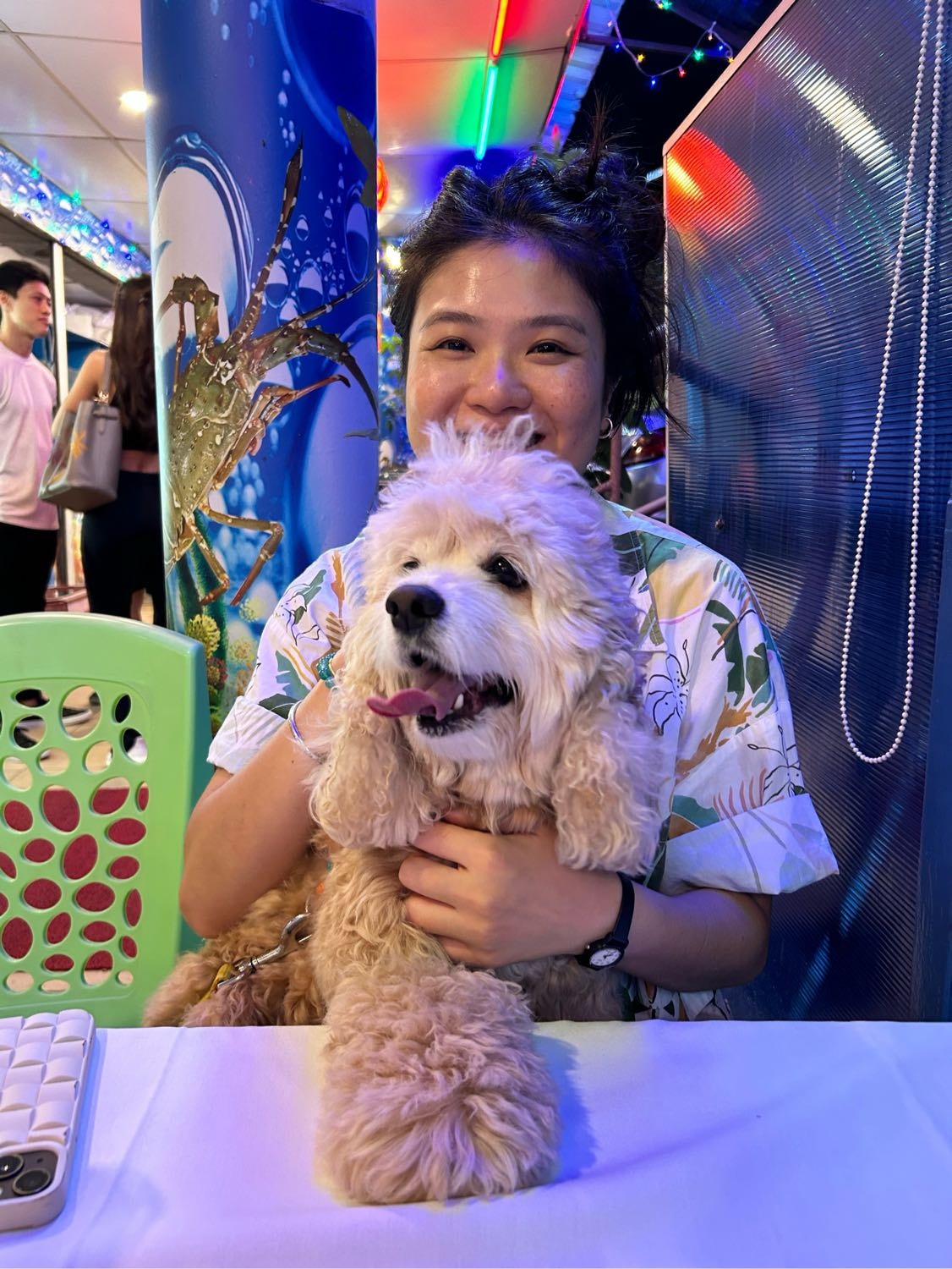 gwen Pet sitter in Katong