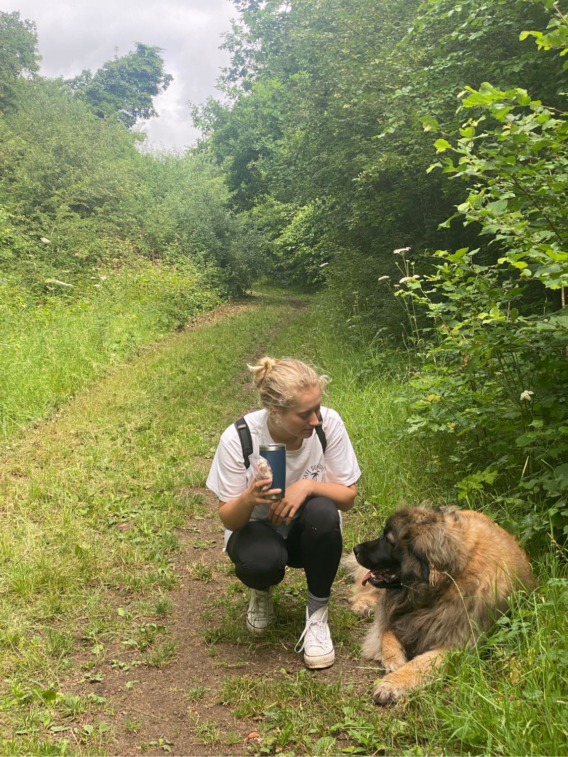 image-9