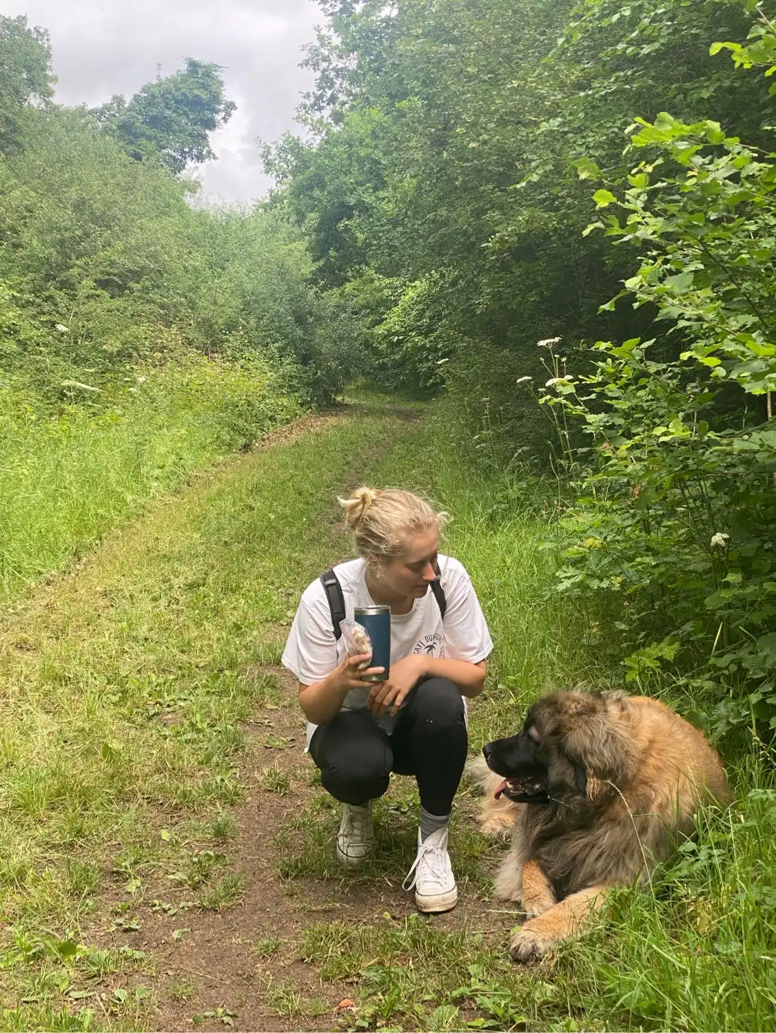 image-9