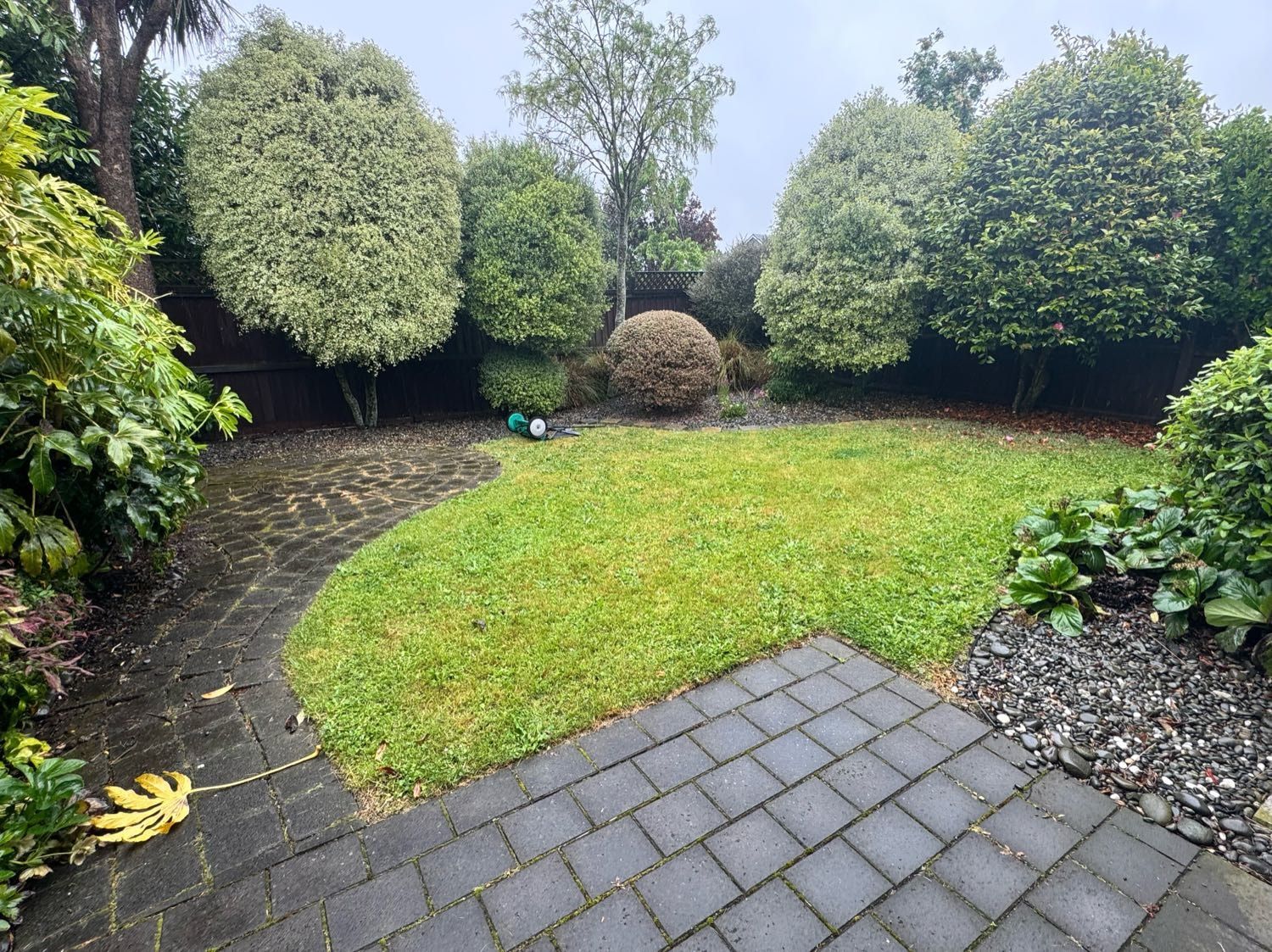 image-15