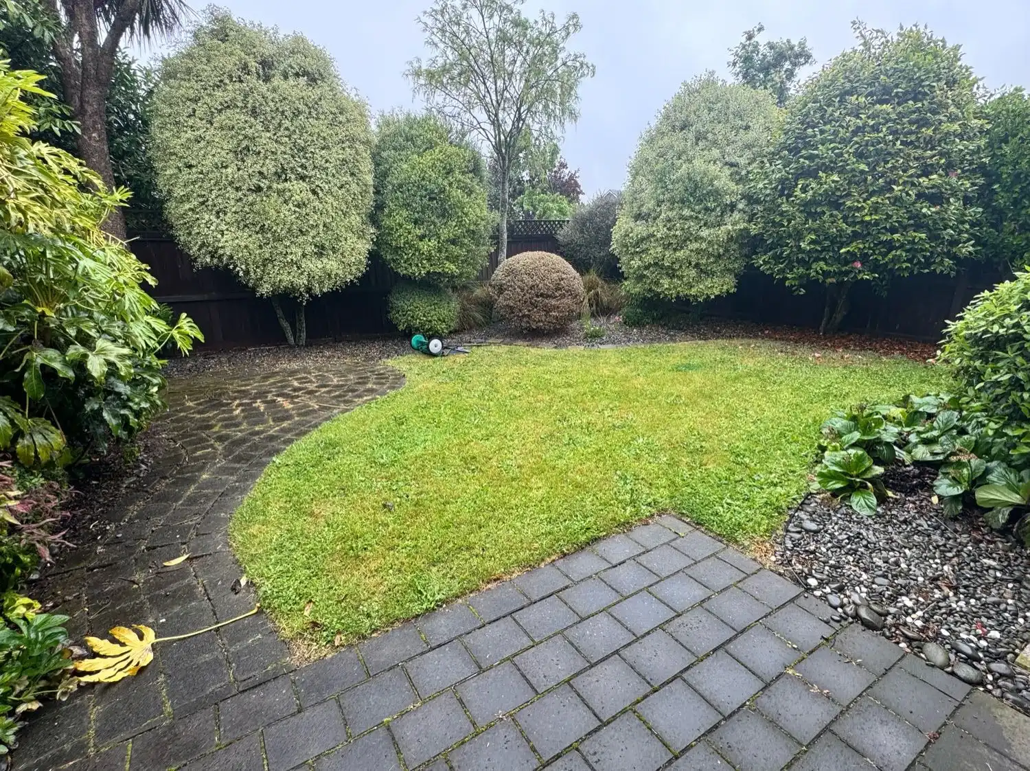image-15