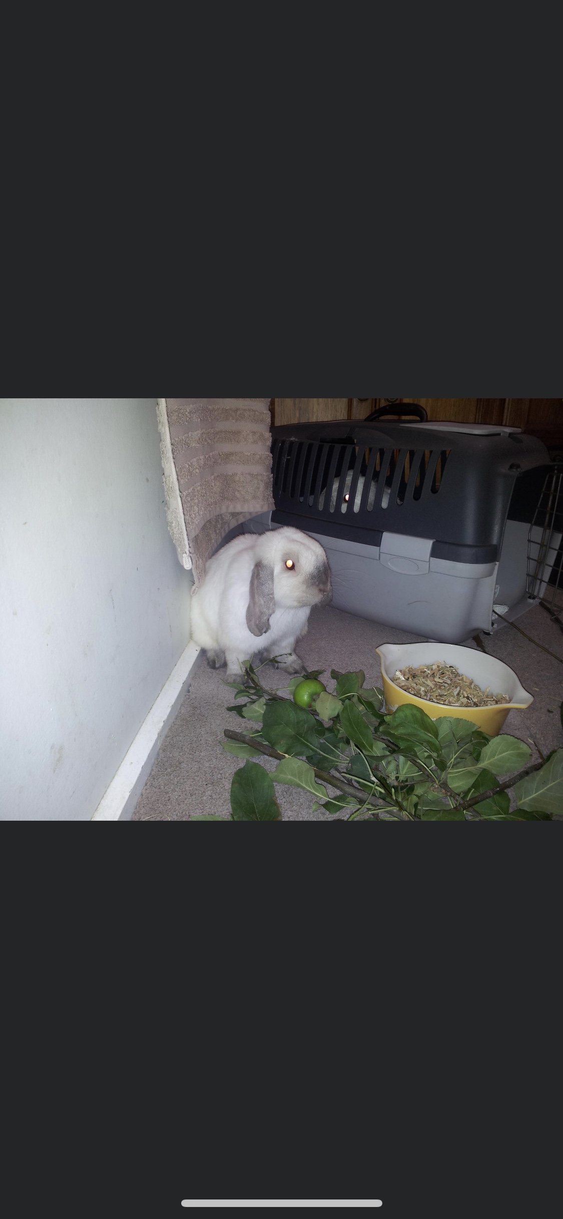 image-10