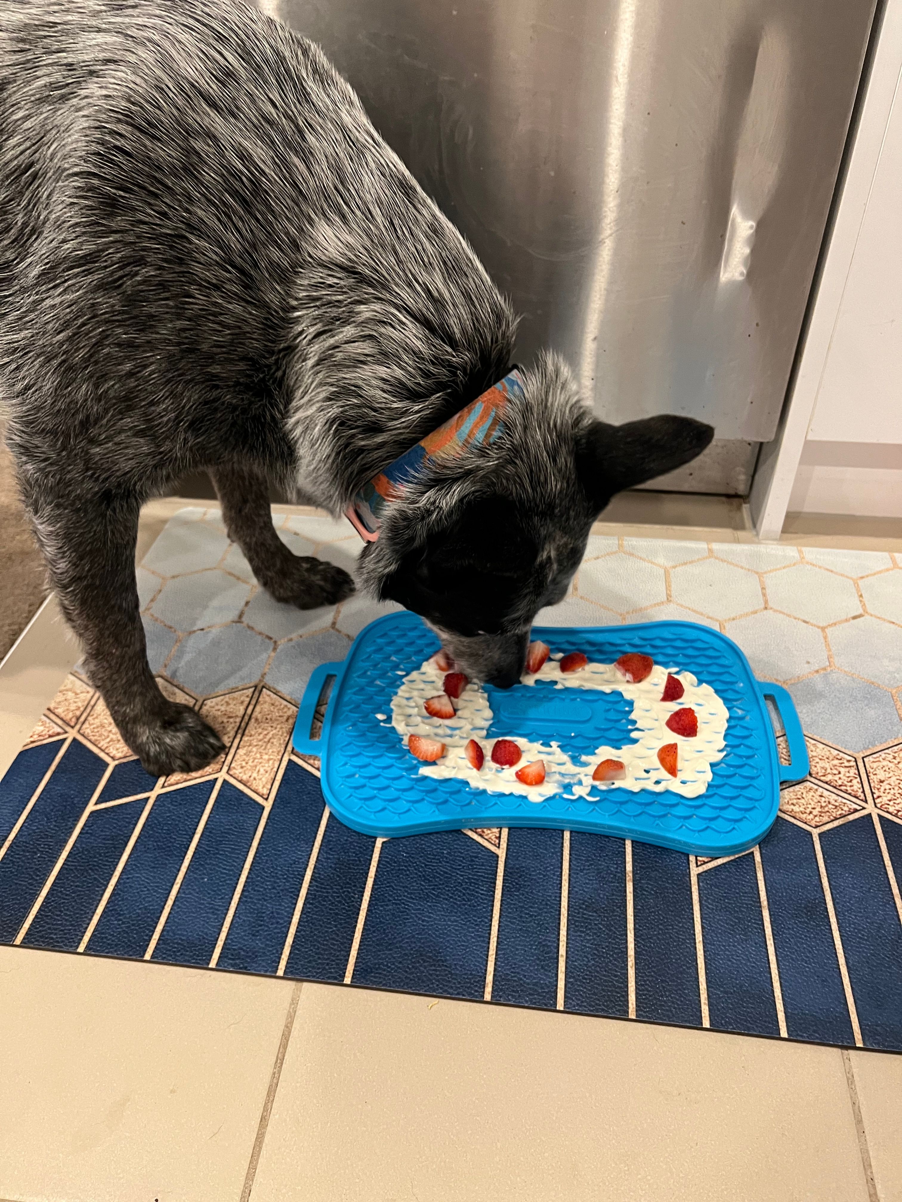 image-20