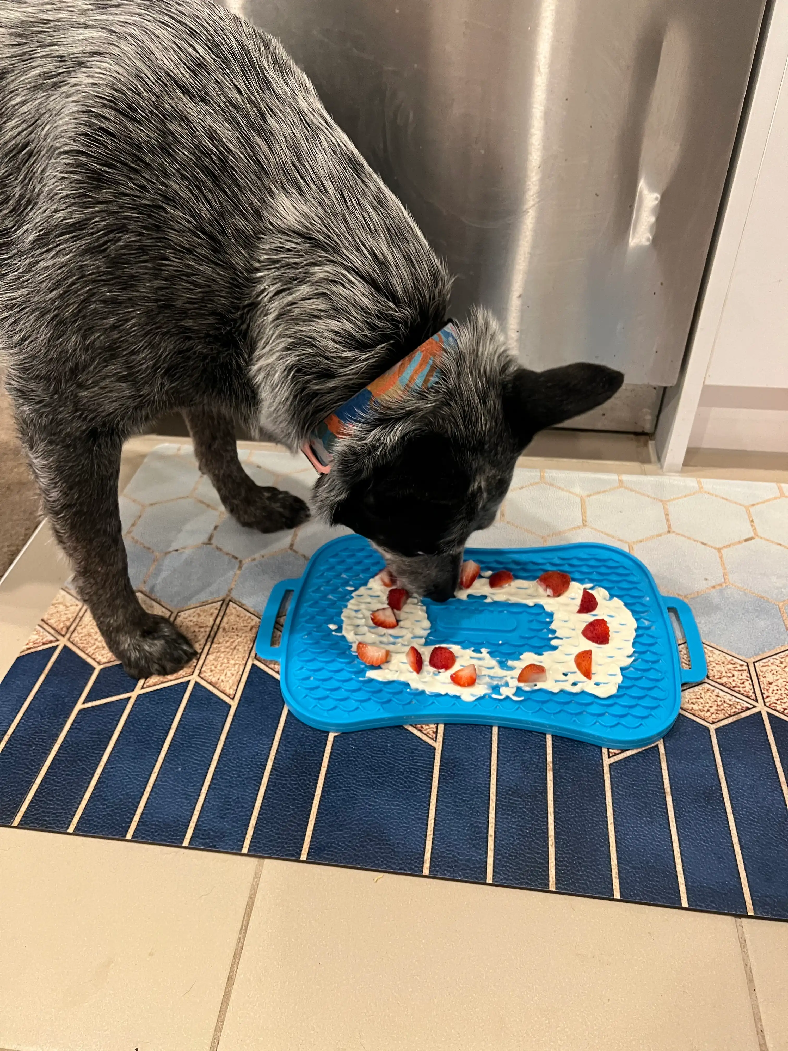image-20