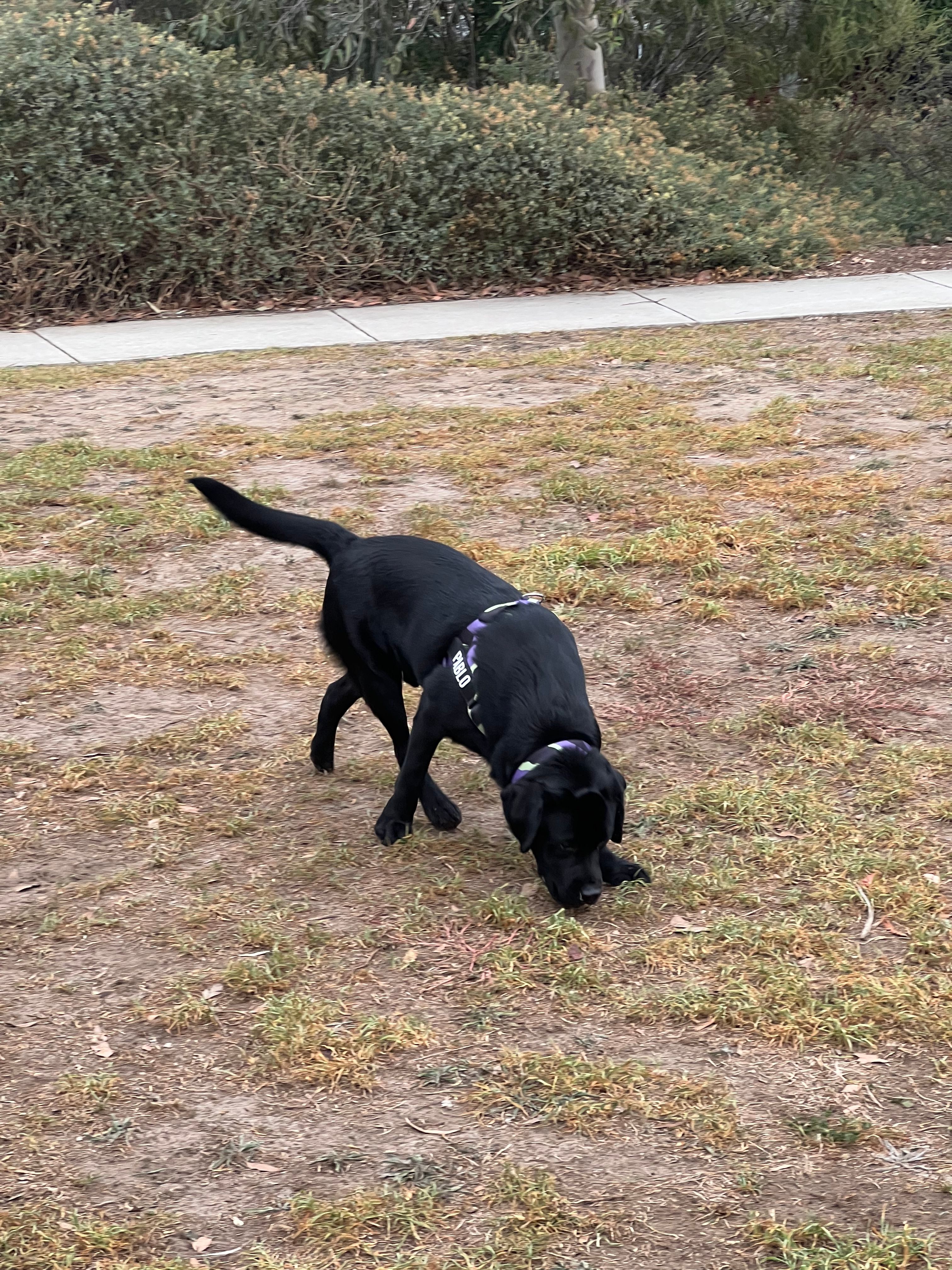 image-16