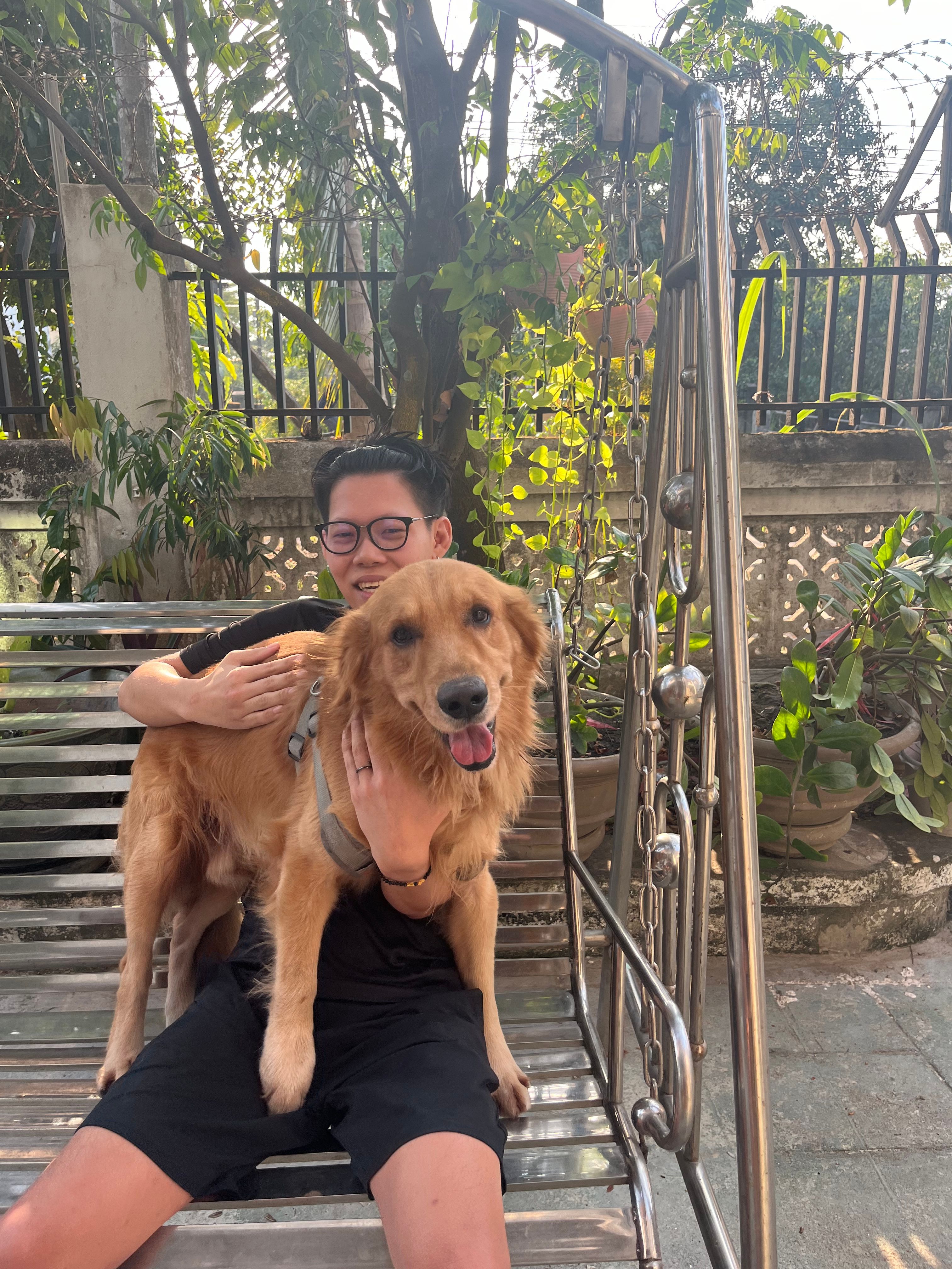 image-7