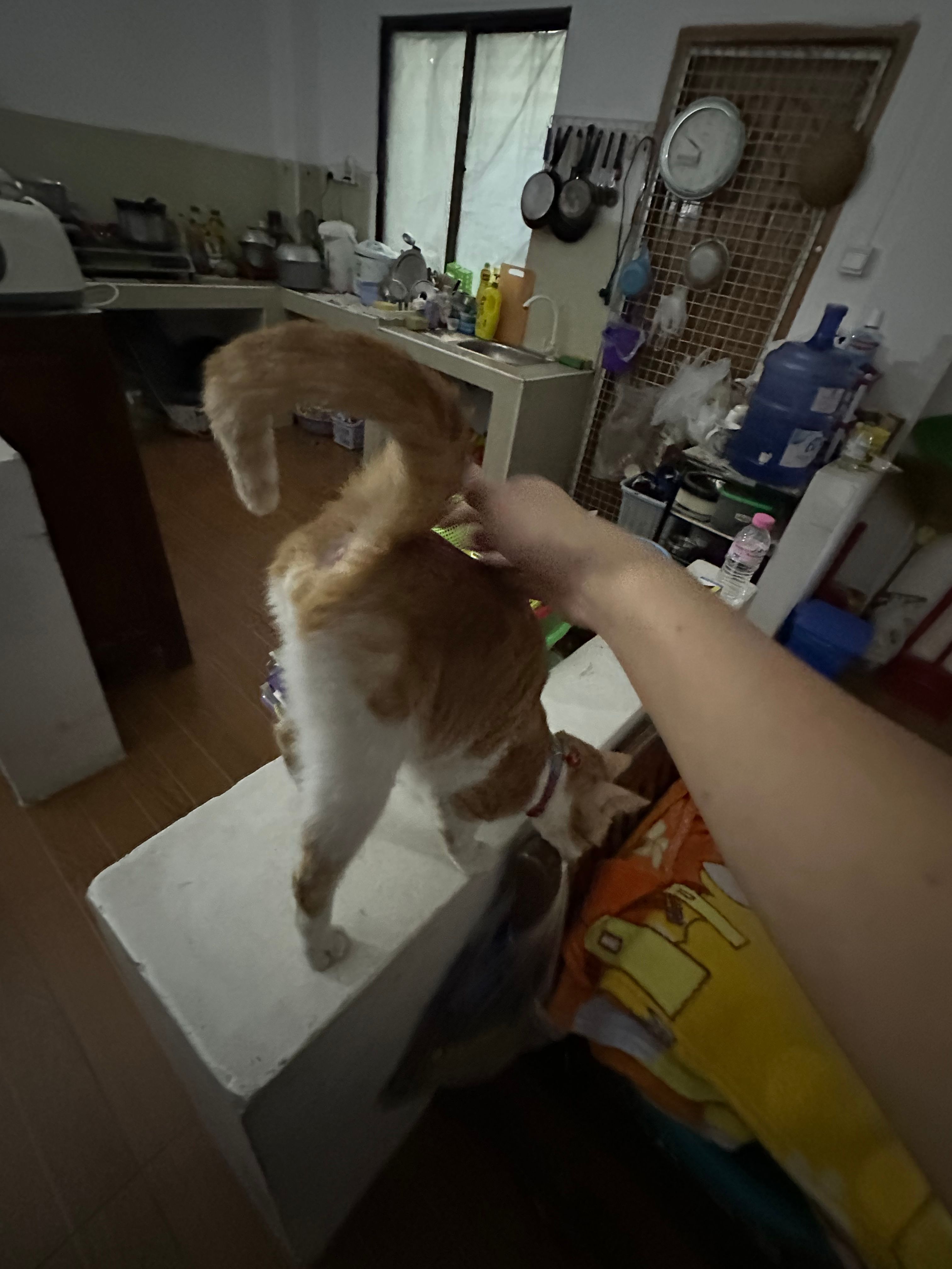 image-3