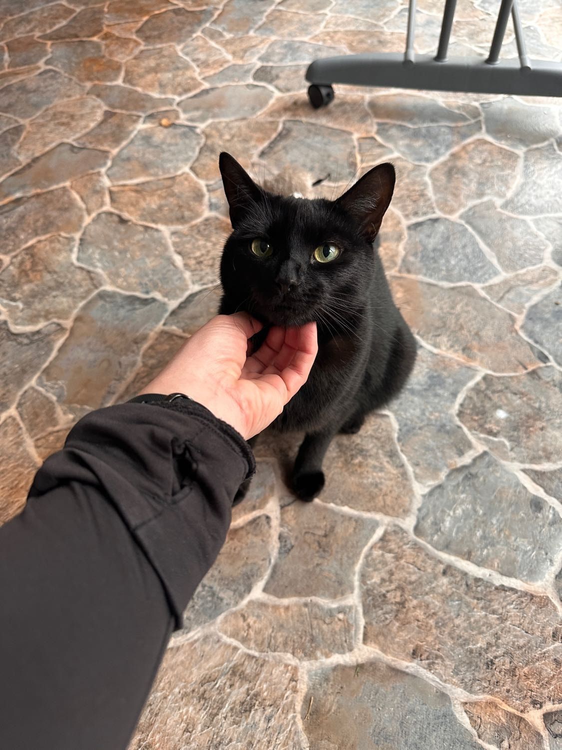 image-12
