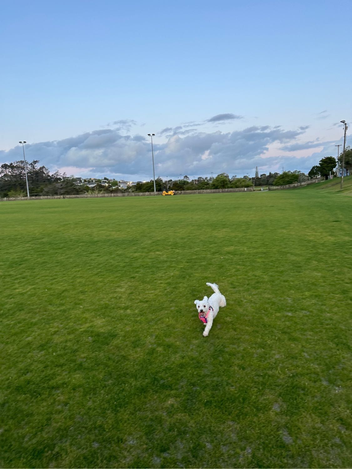 image-4