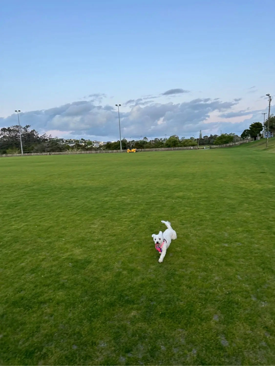 image-4