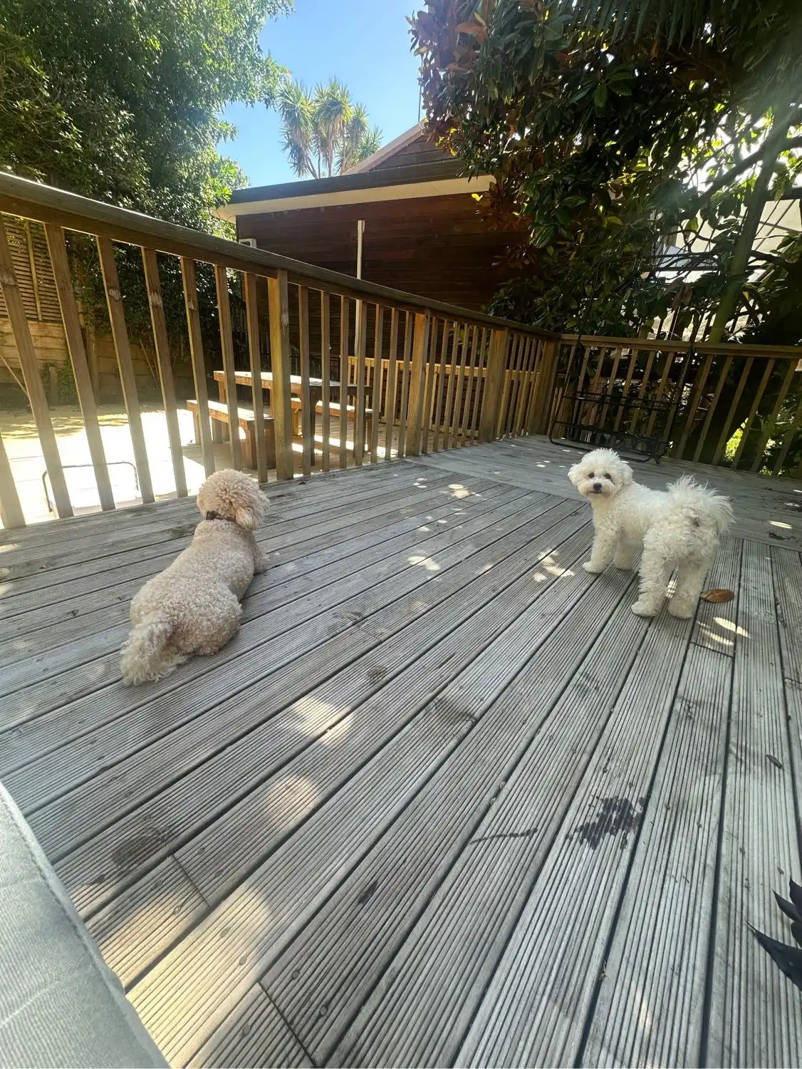 image-38
