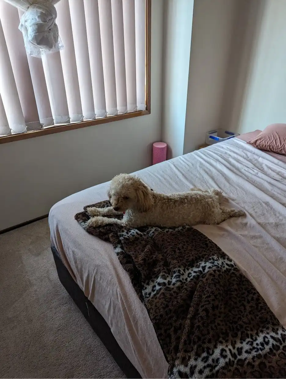 image-8