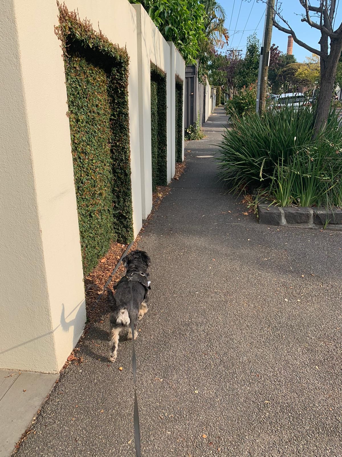 image-18