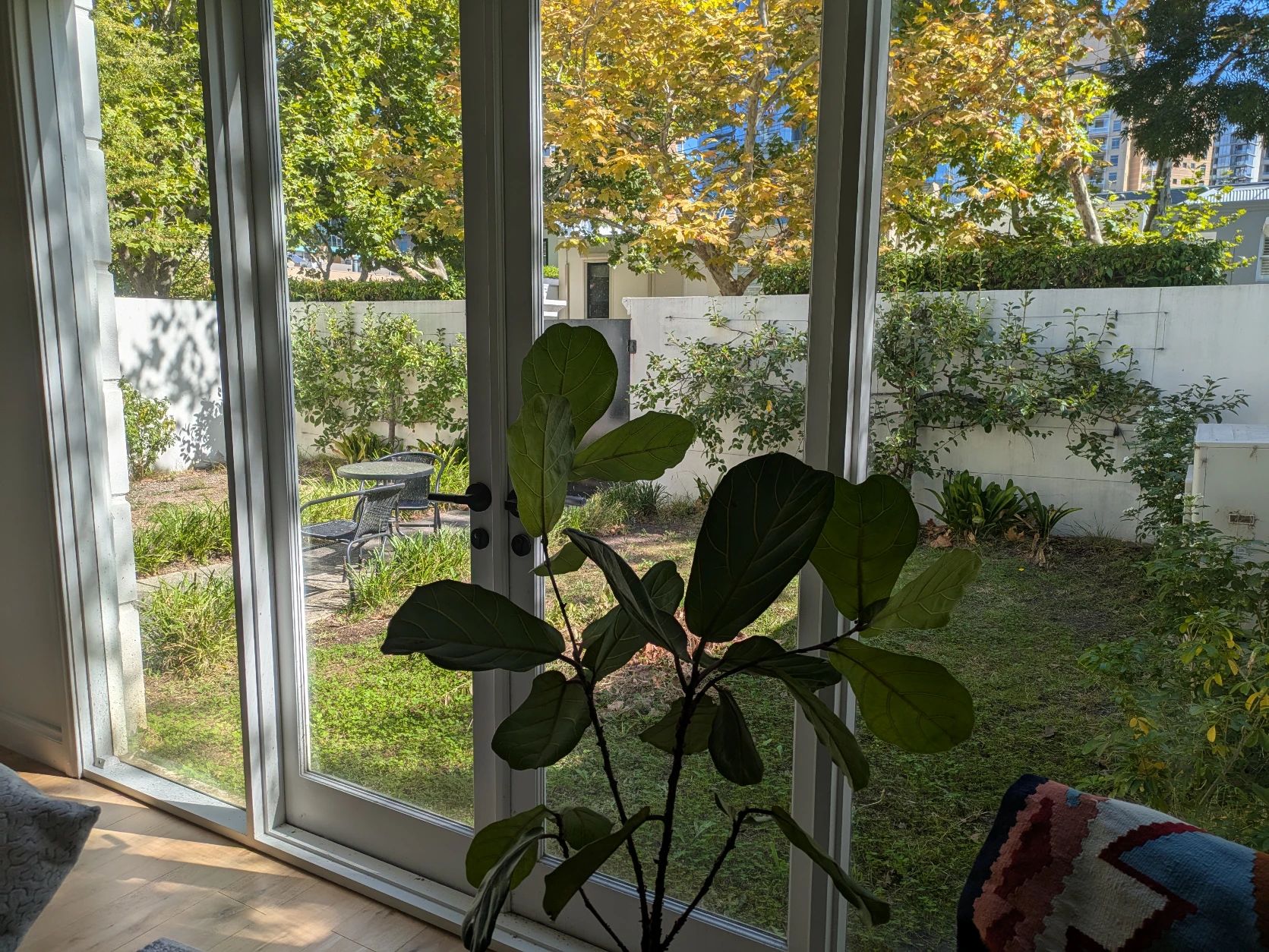 image-19