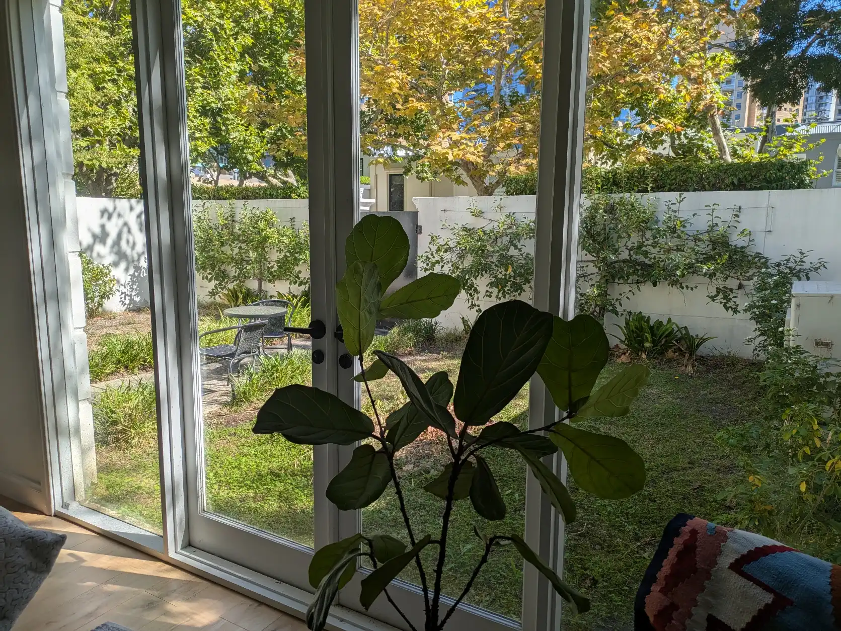 image-19