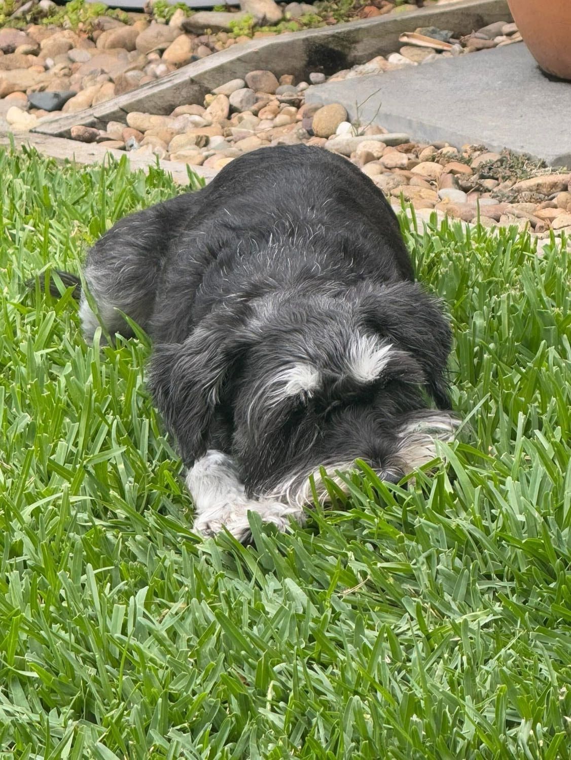 image-9