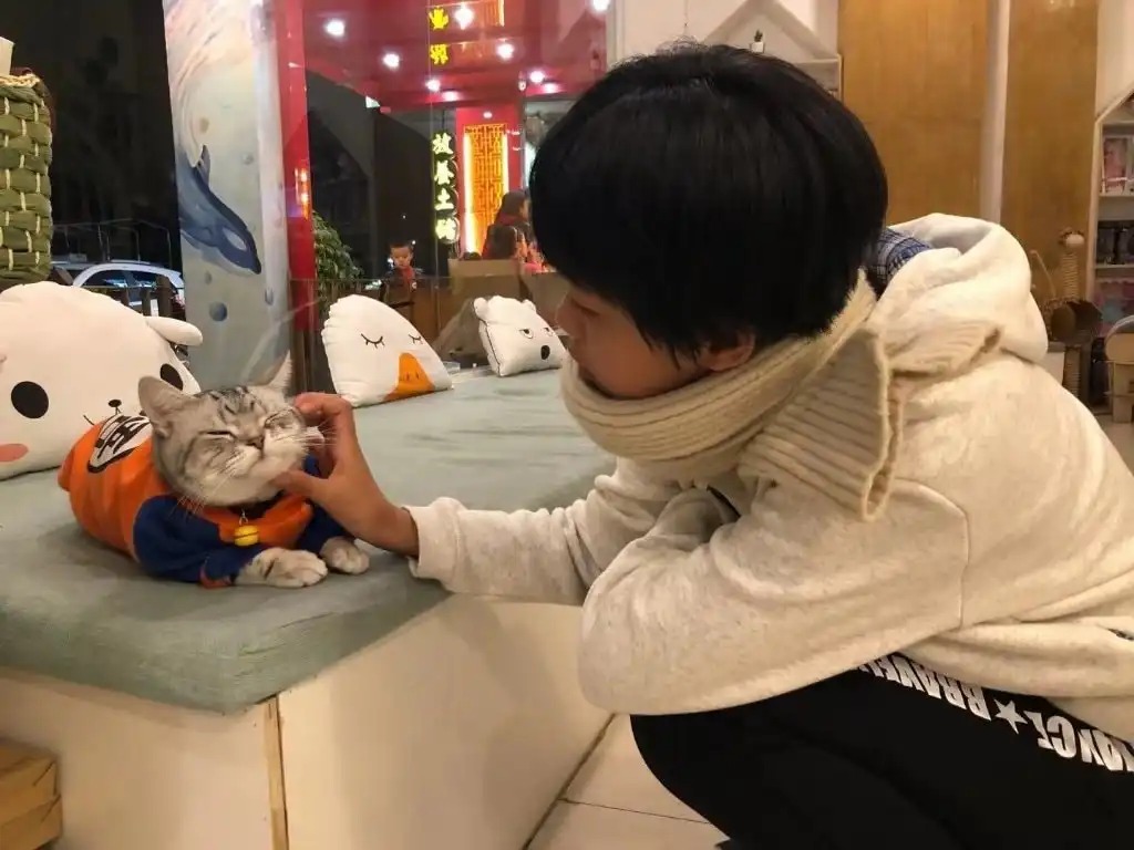 image-5