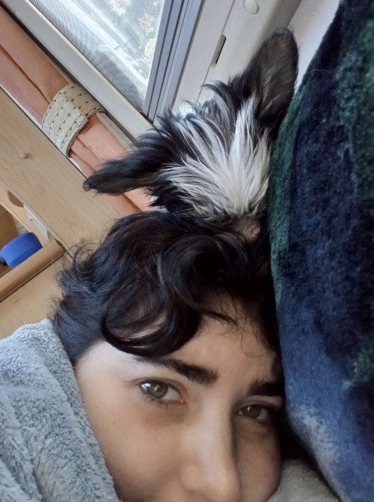 image-7