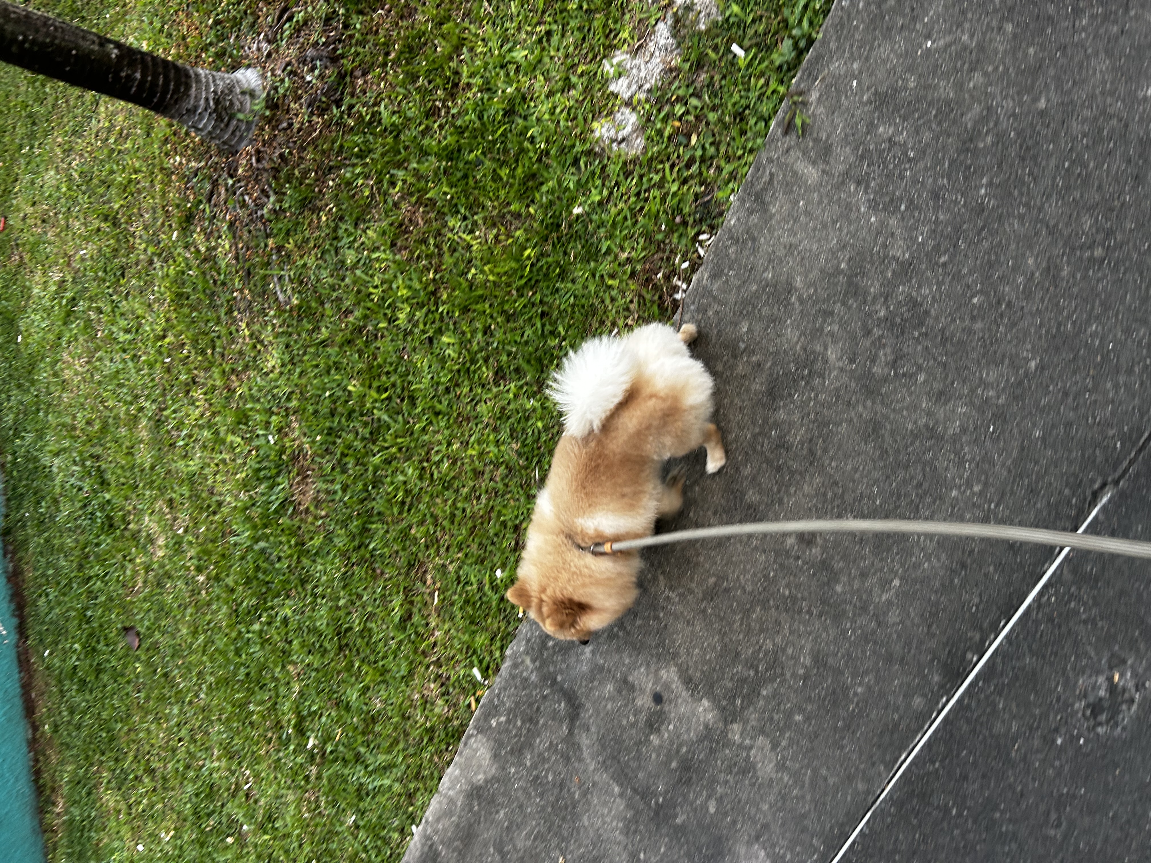 image-5
