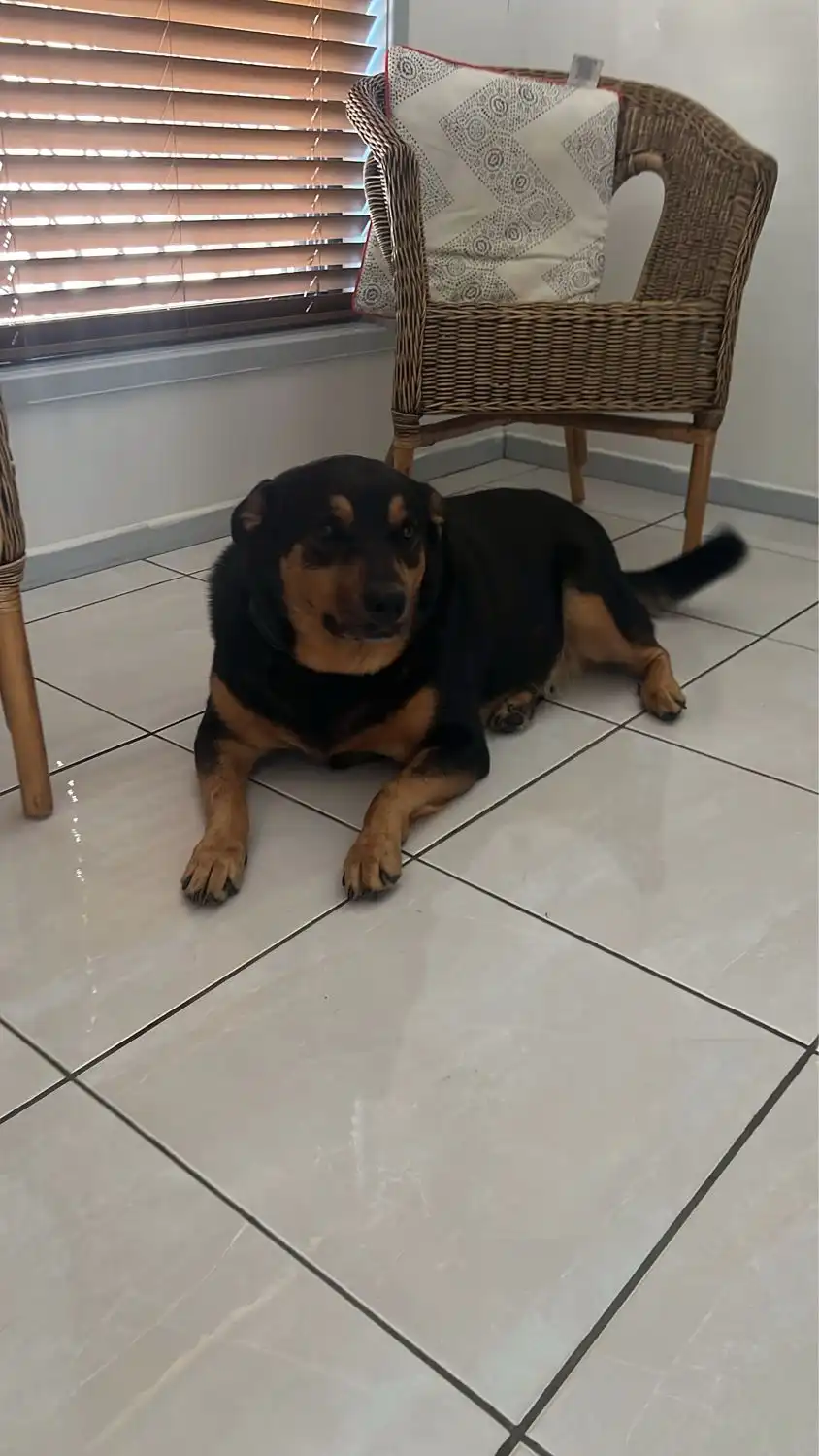 image-12