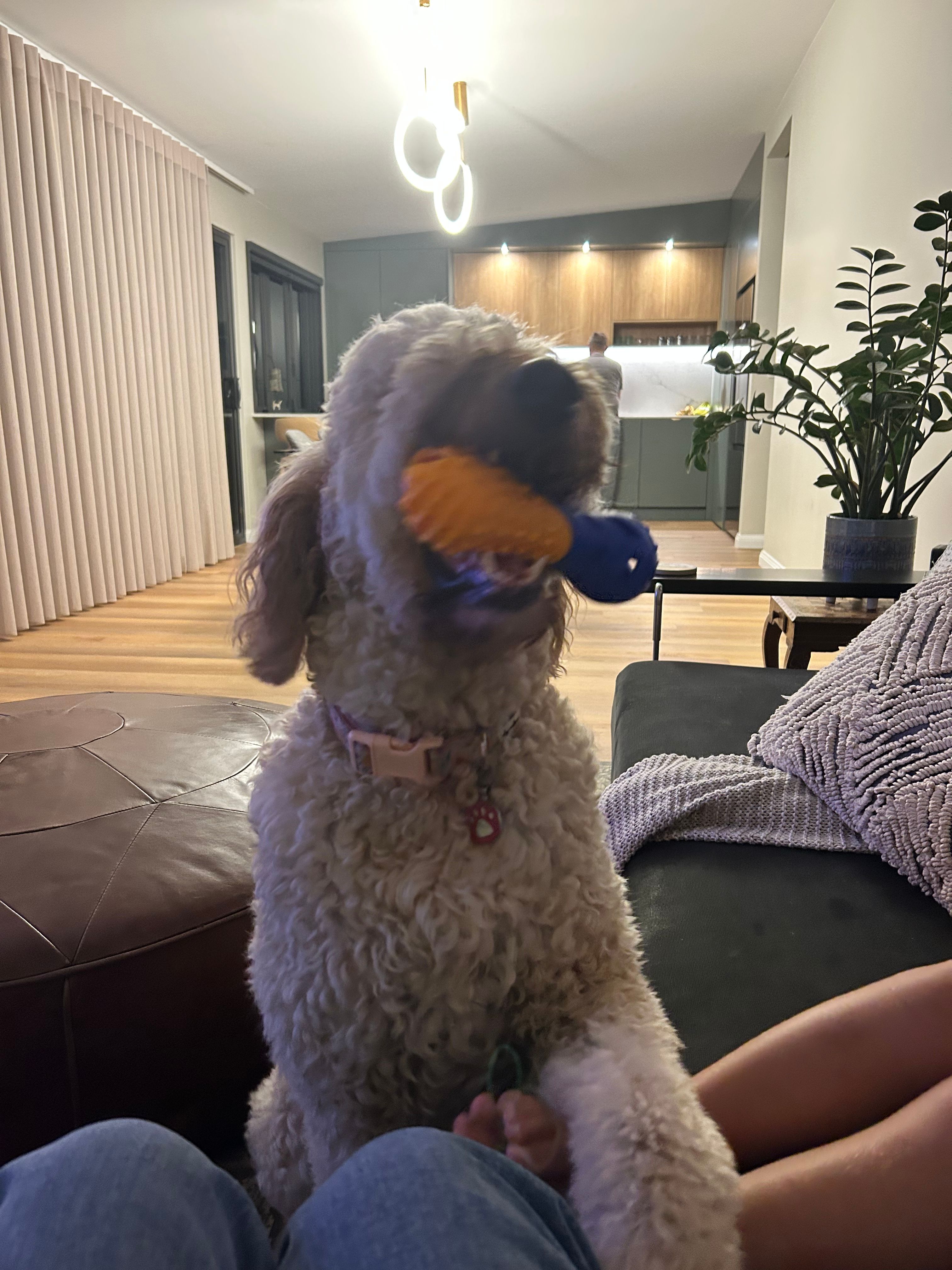 image-18