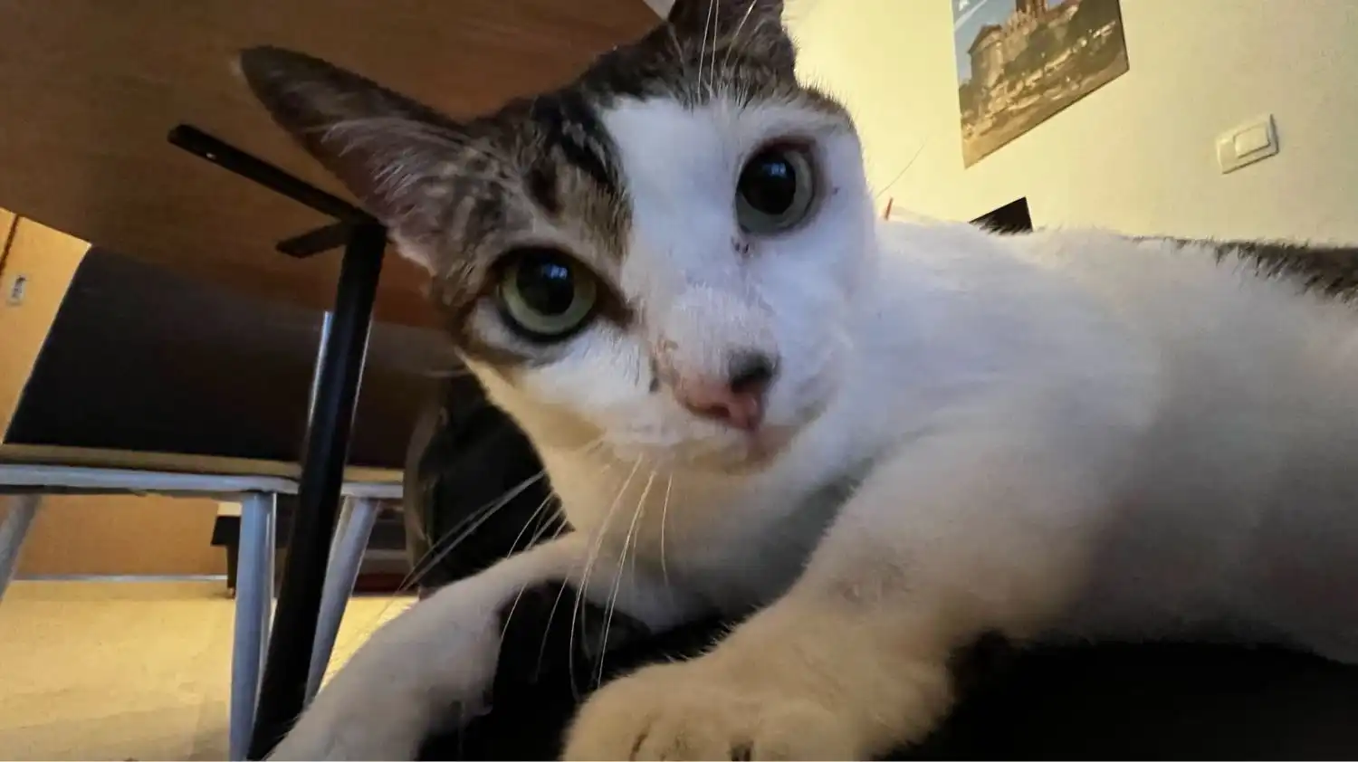 image-8