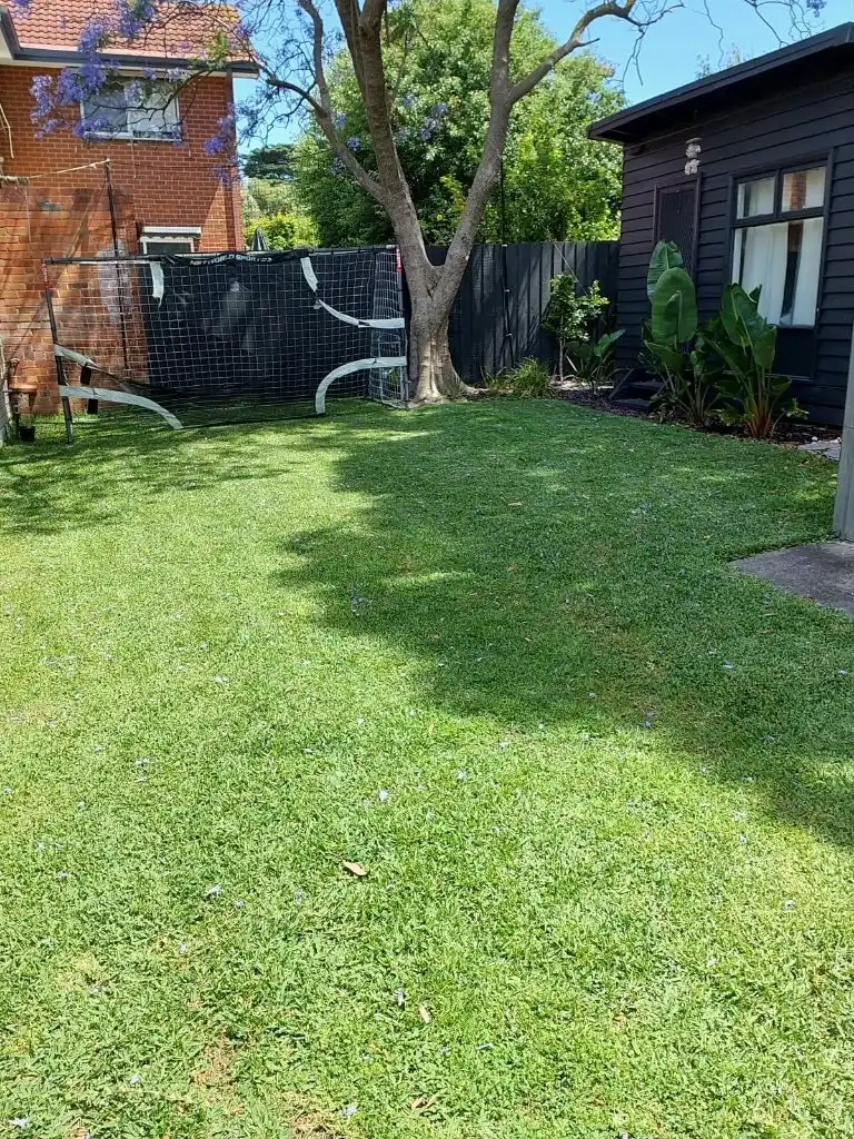 image-5