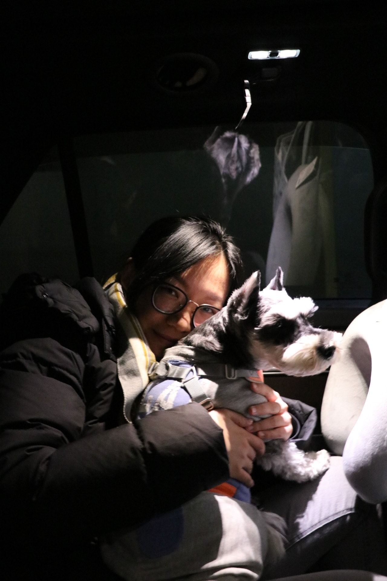 image-11