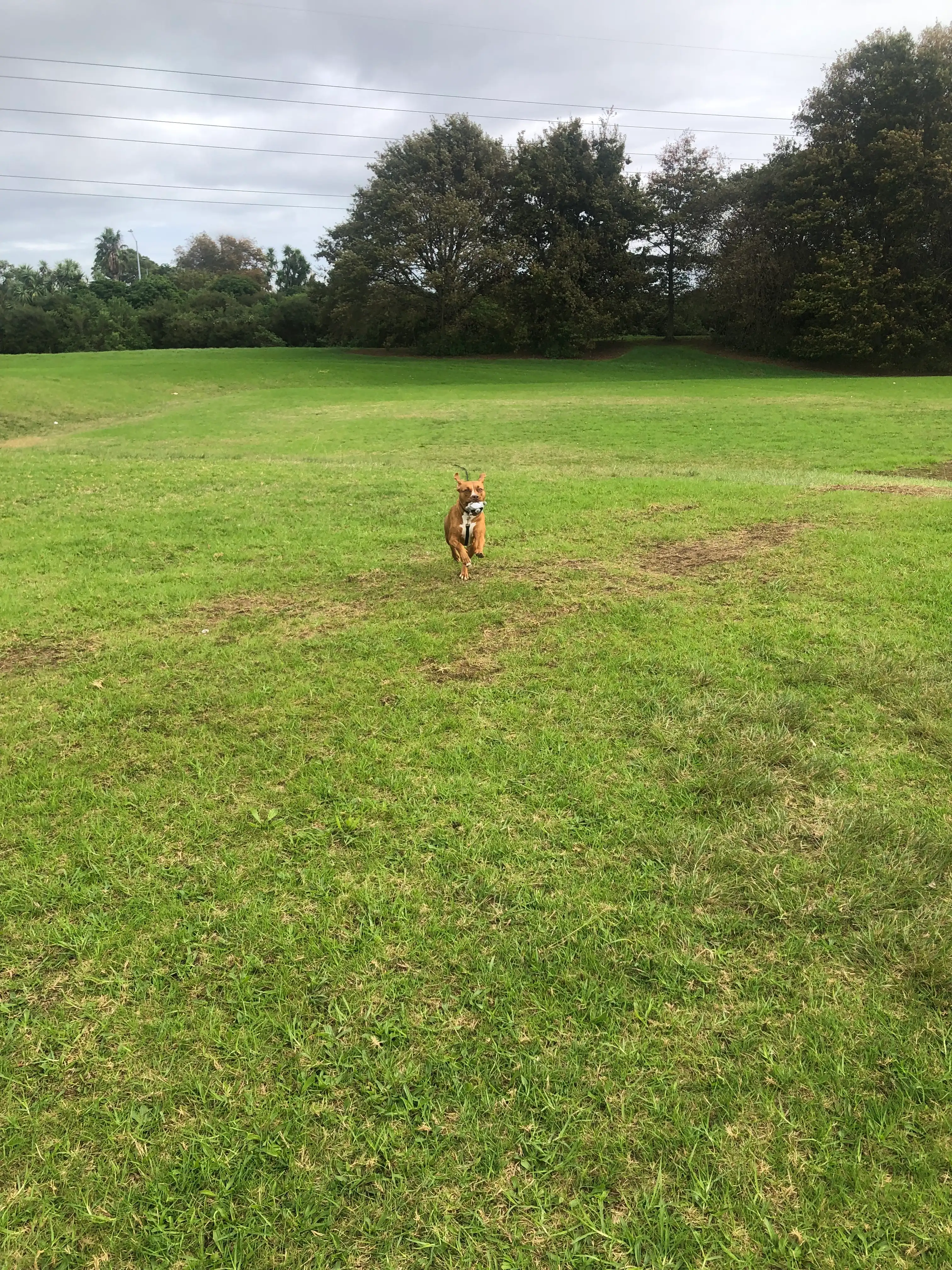 image-13