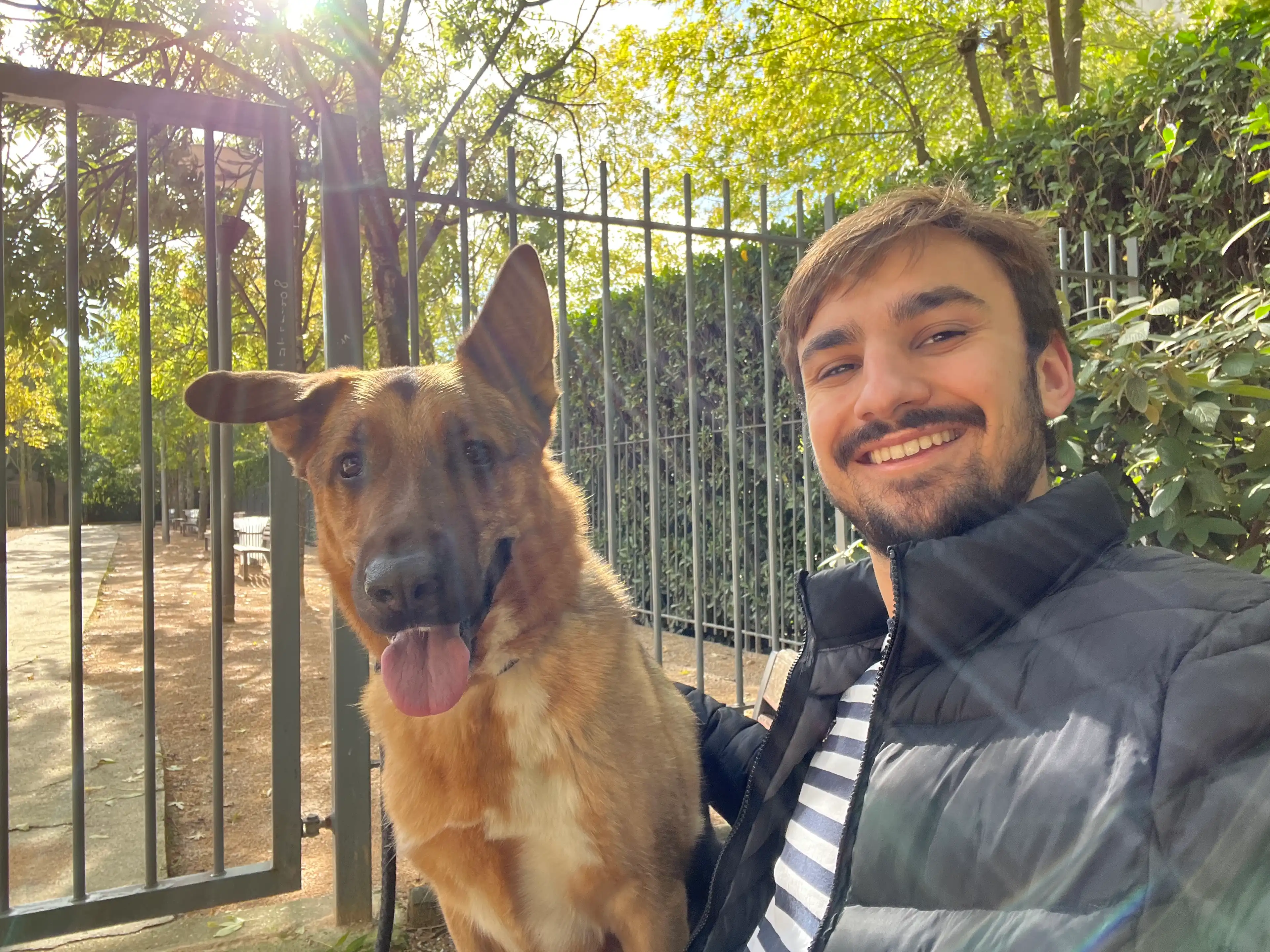 image-7