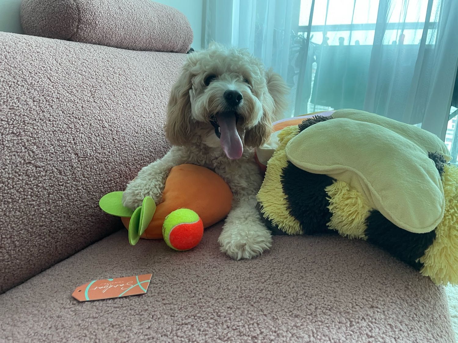 image-10