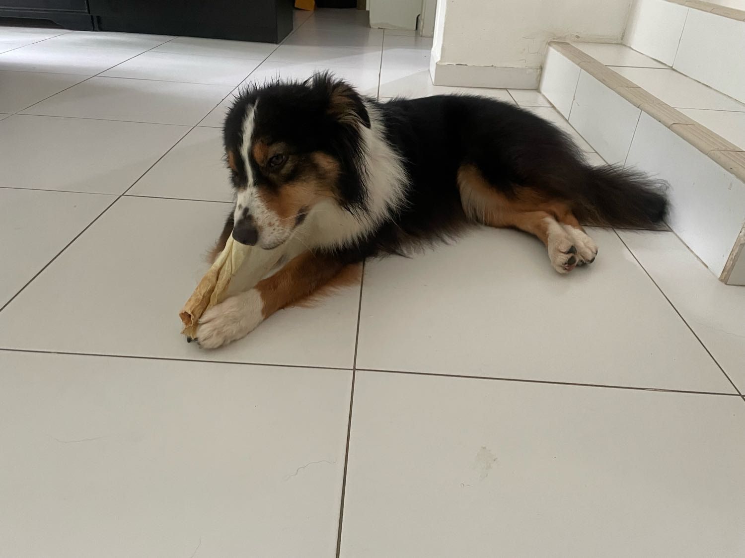 image-7