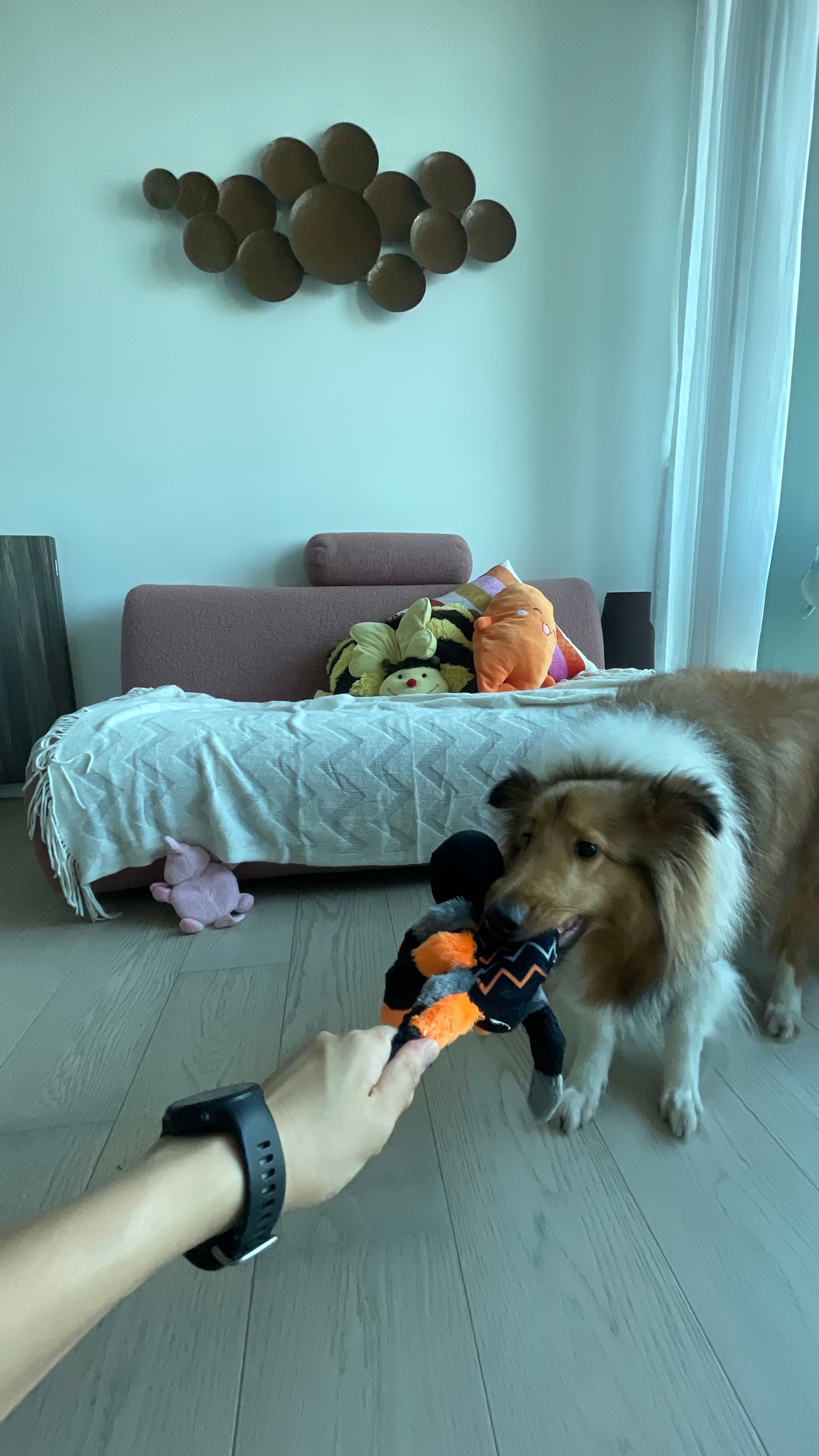 image-43