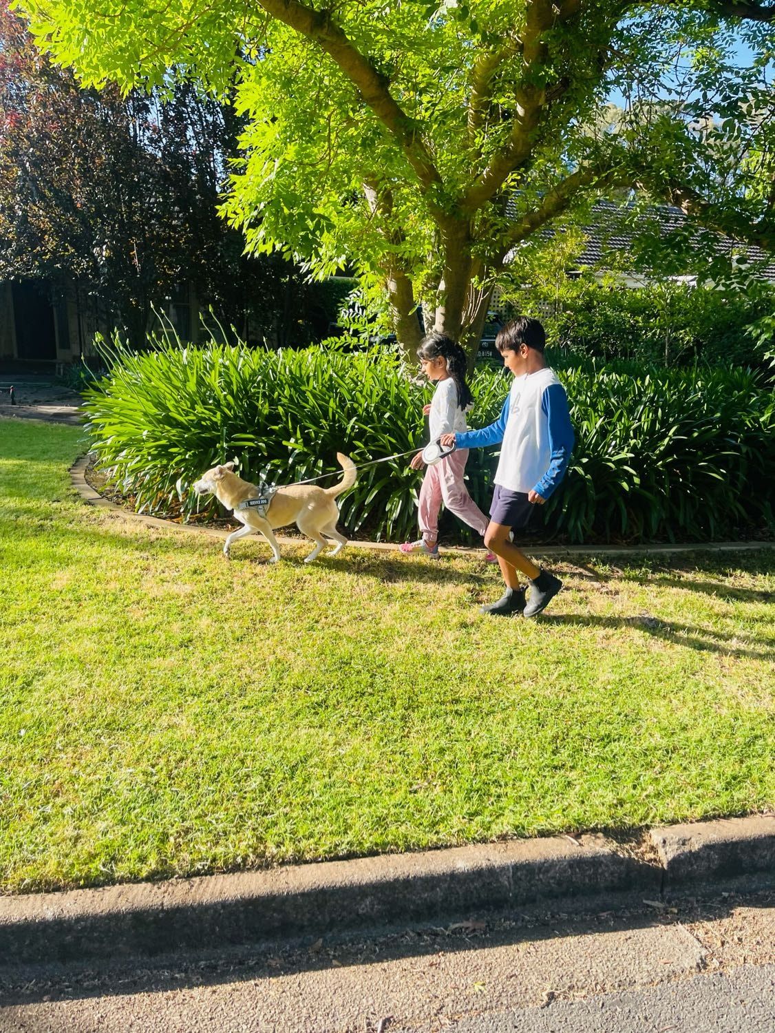 image-14