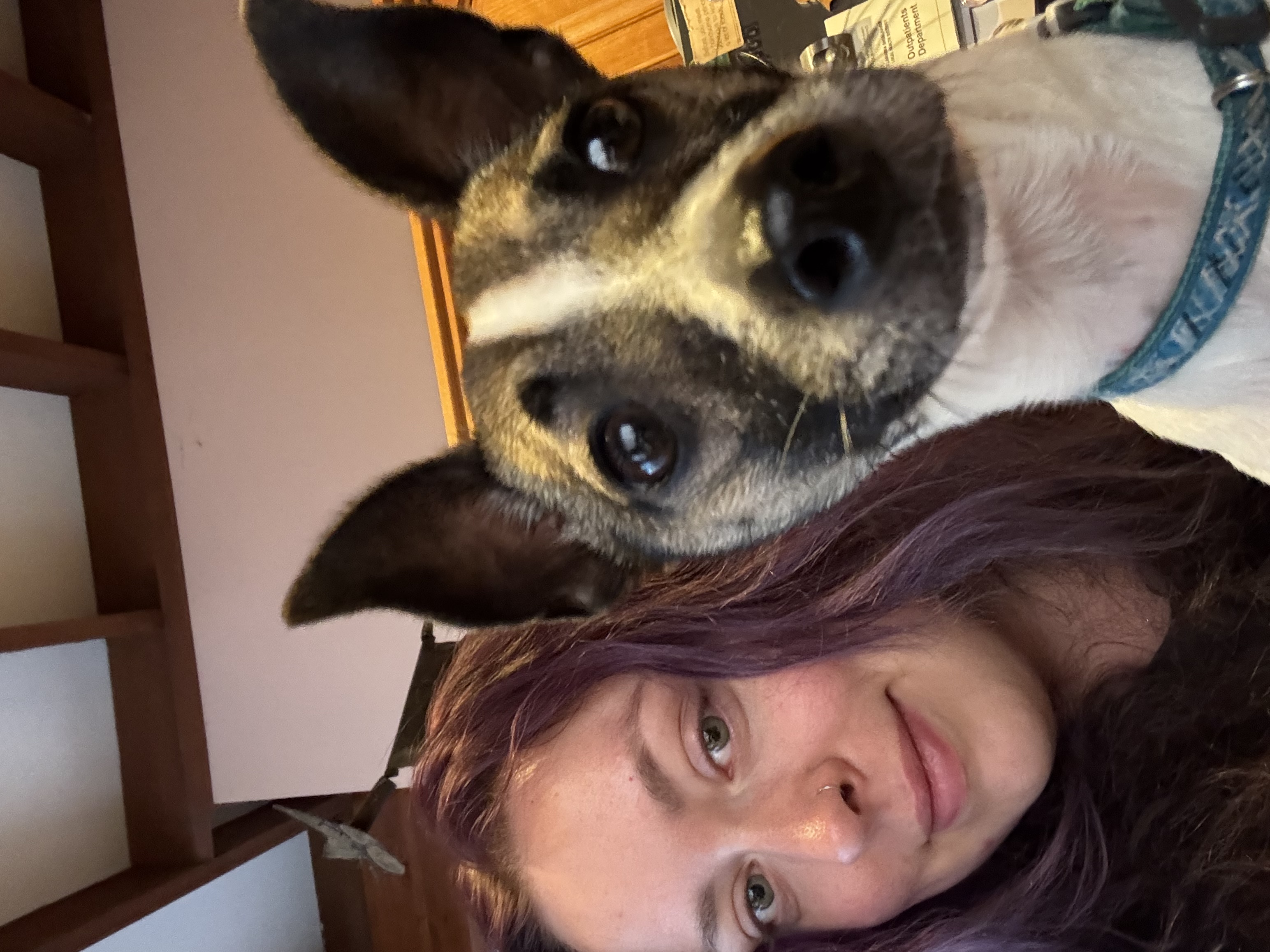 image-5