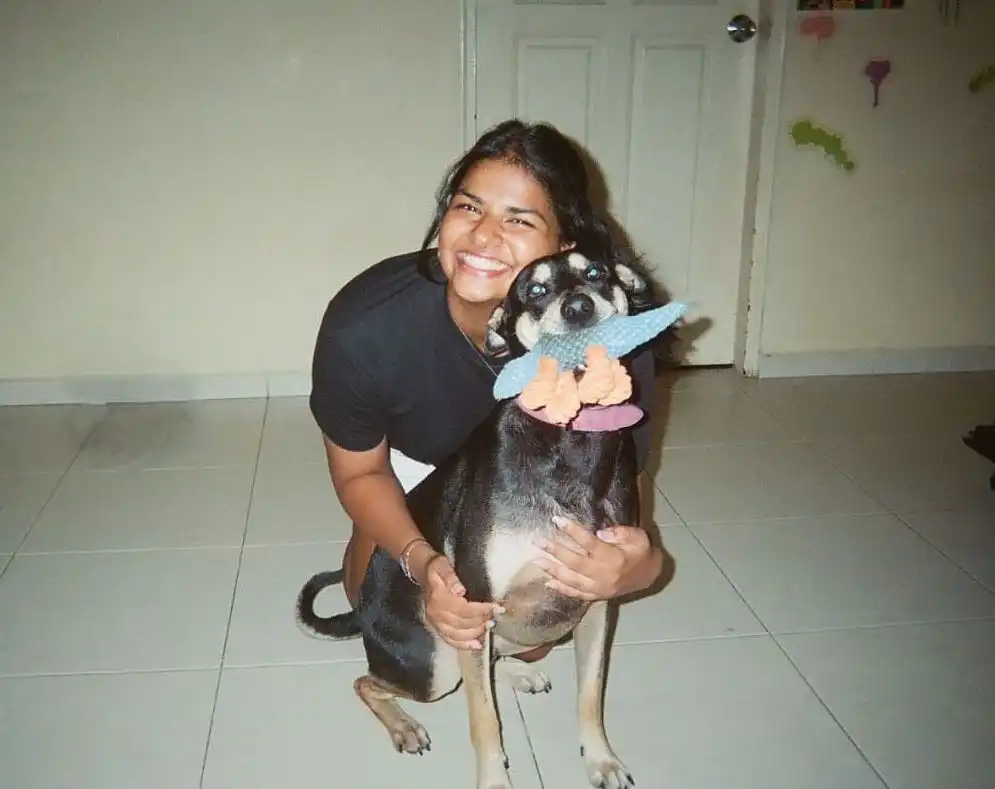 image-10