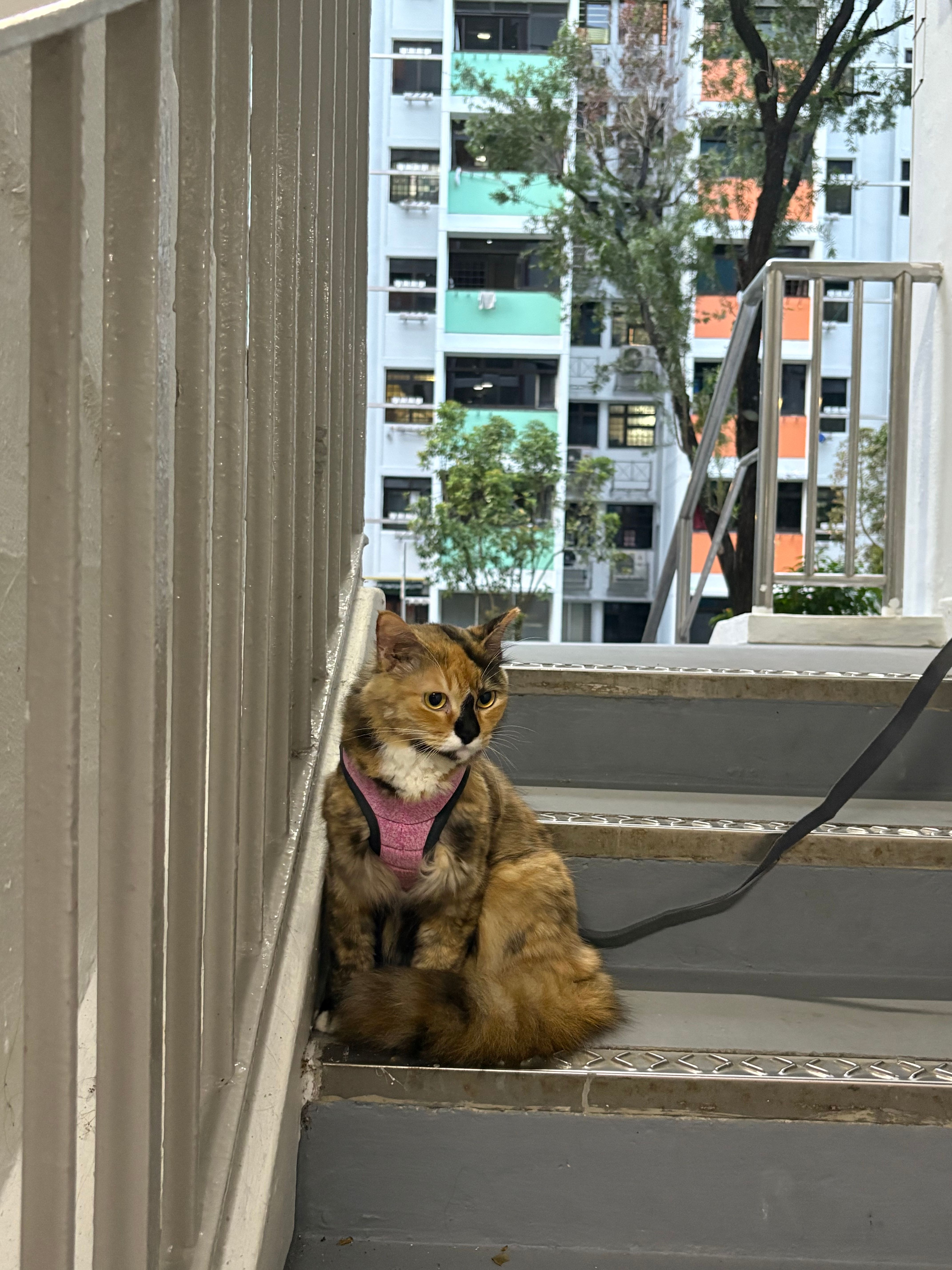 image-6